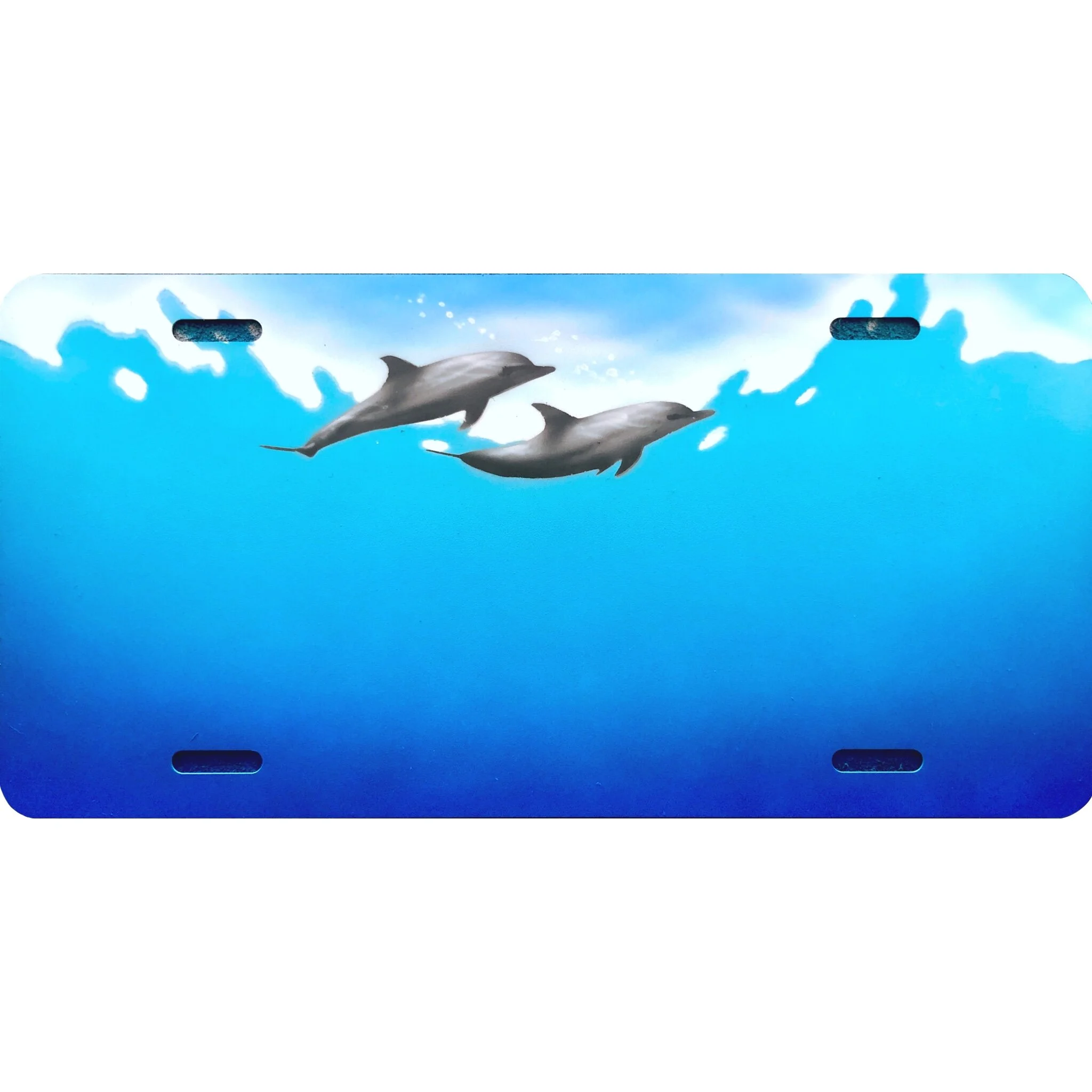 T25 Dolphin Pair Underwater