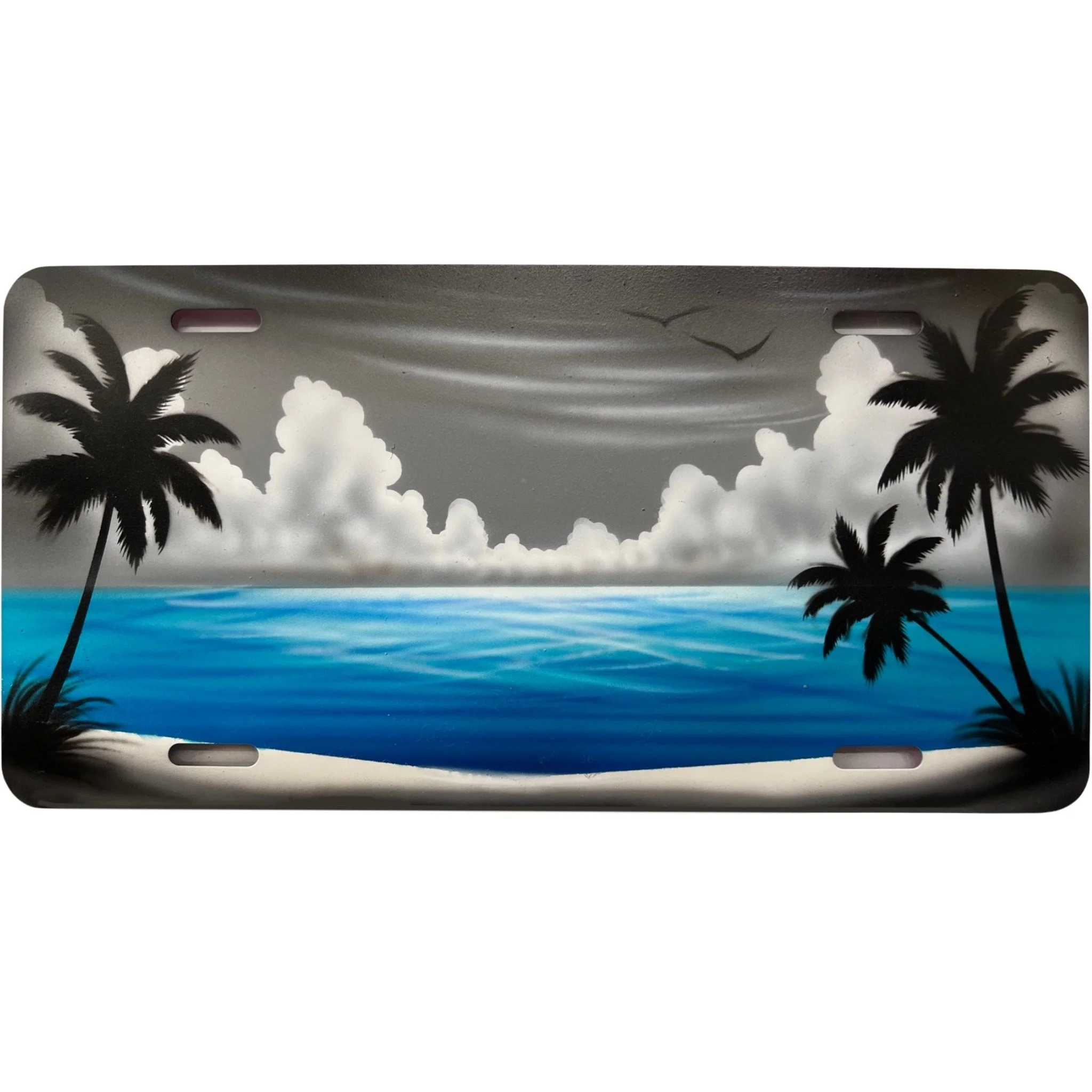 T82 Gray Clouds Aqua Water Palm Beach Scene