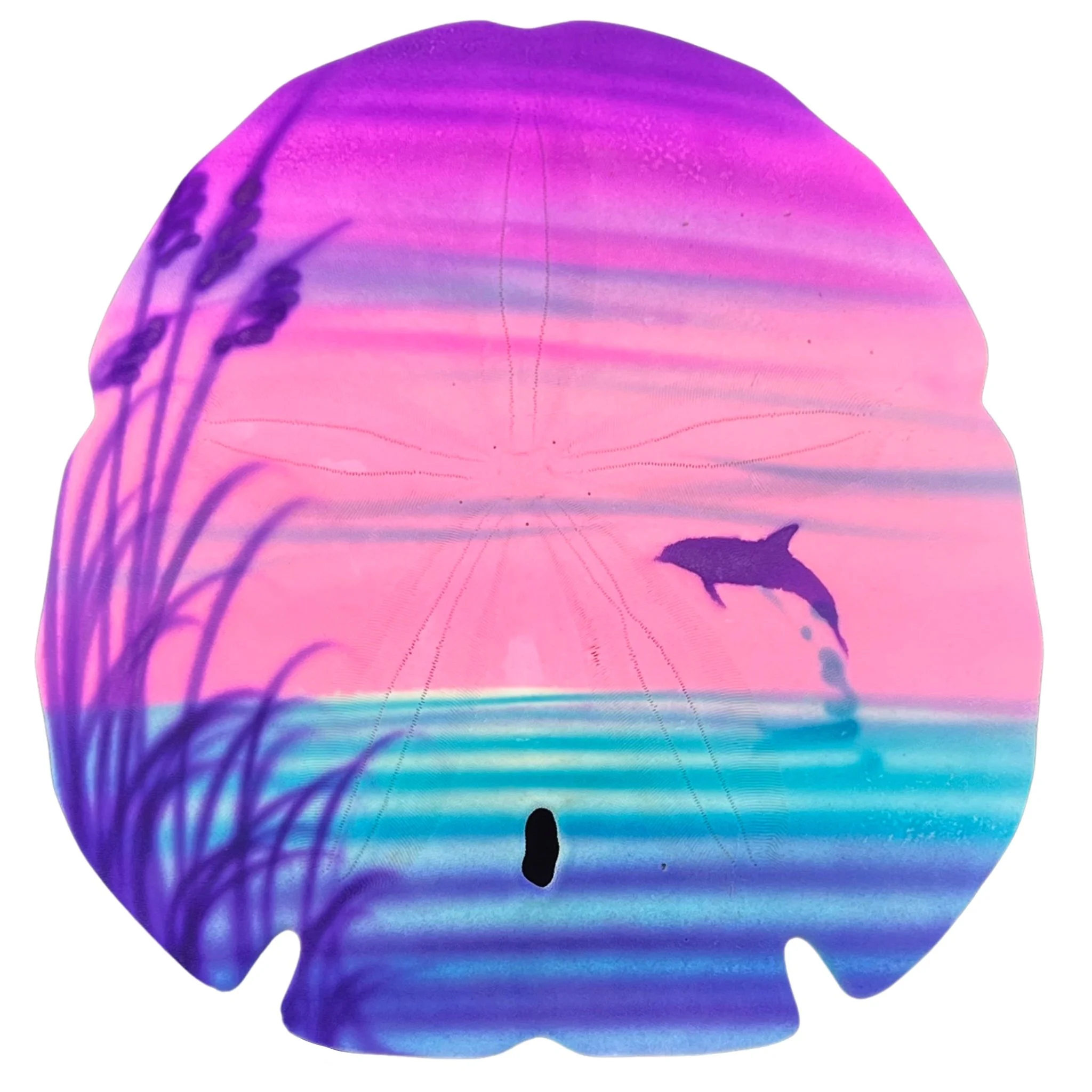 SD 02 Pink Teal Dolphin Beach