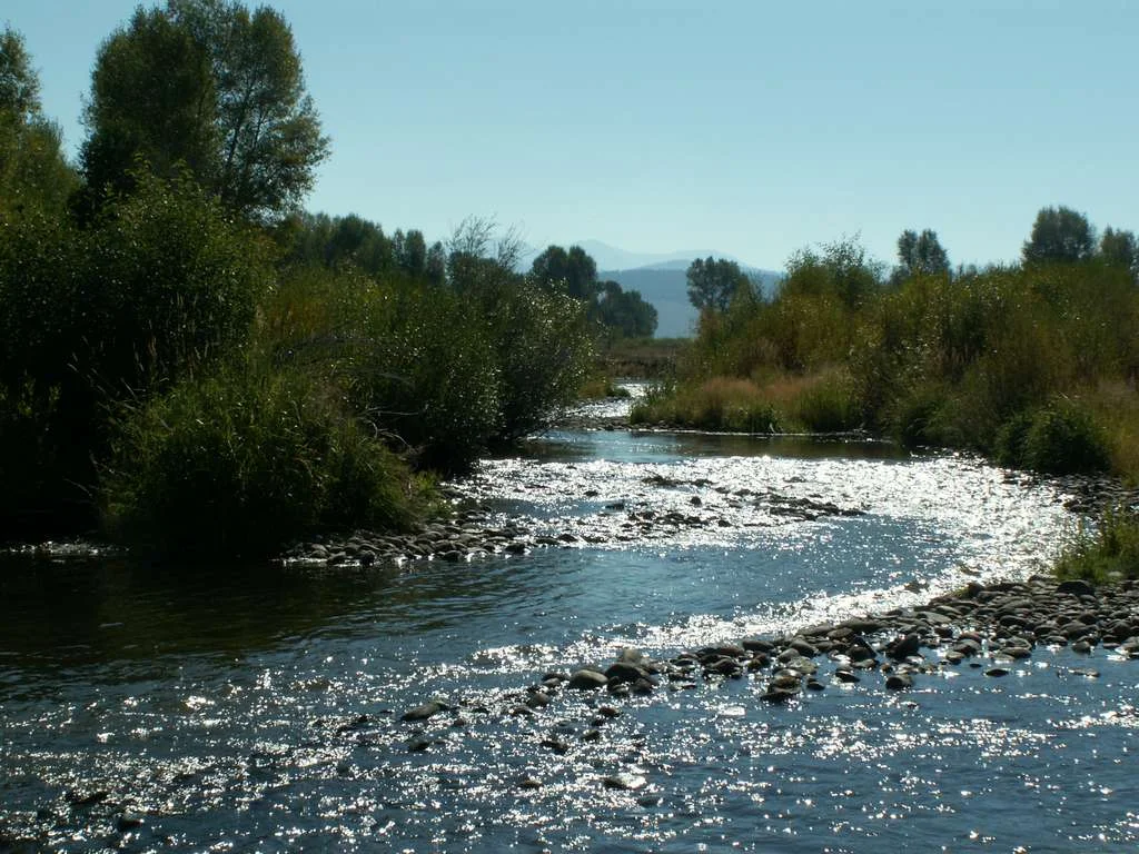riversunny.jpeg