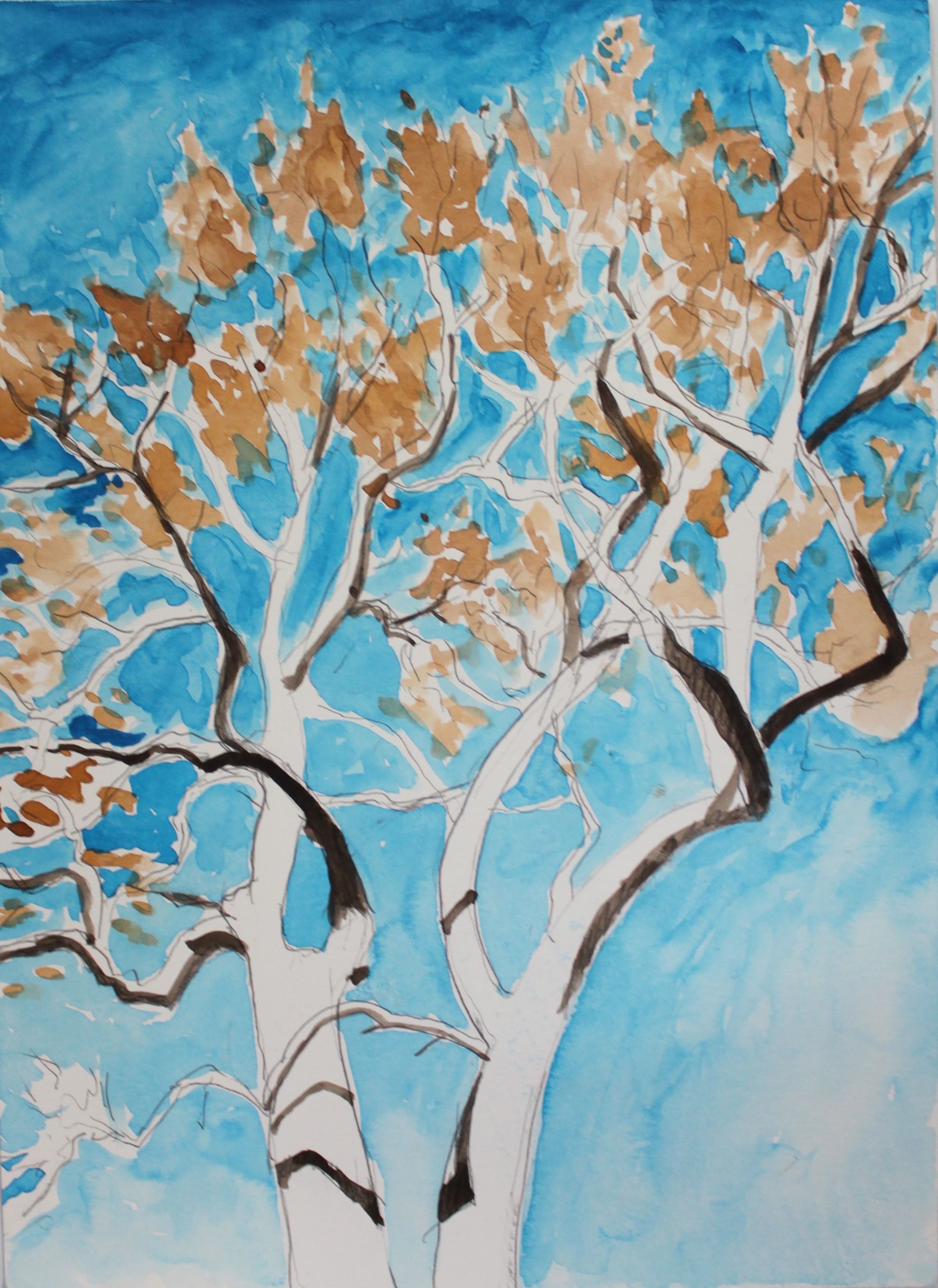 Sycamore Tree, 2016, watercolor, 14 x 9 in.