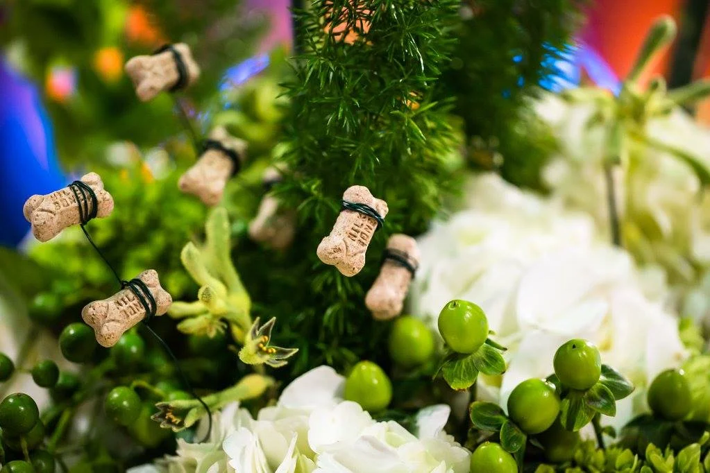 Malloy Events | New England event planner | corporate events | private party