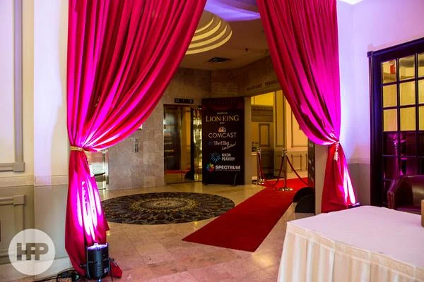 Red carpet with stantions. Also available in black carpet and rope.