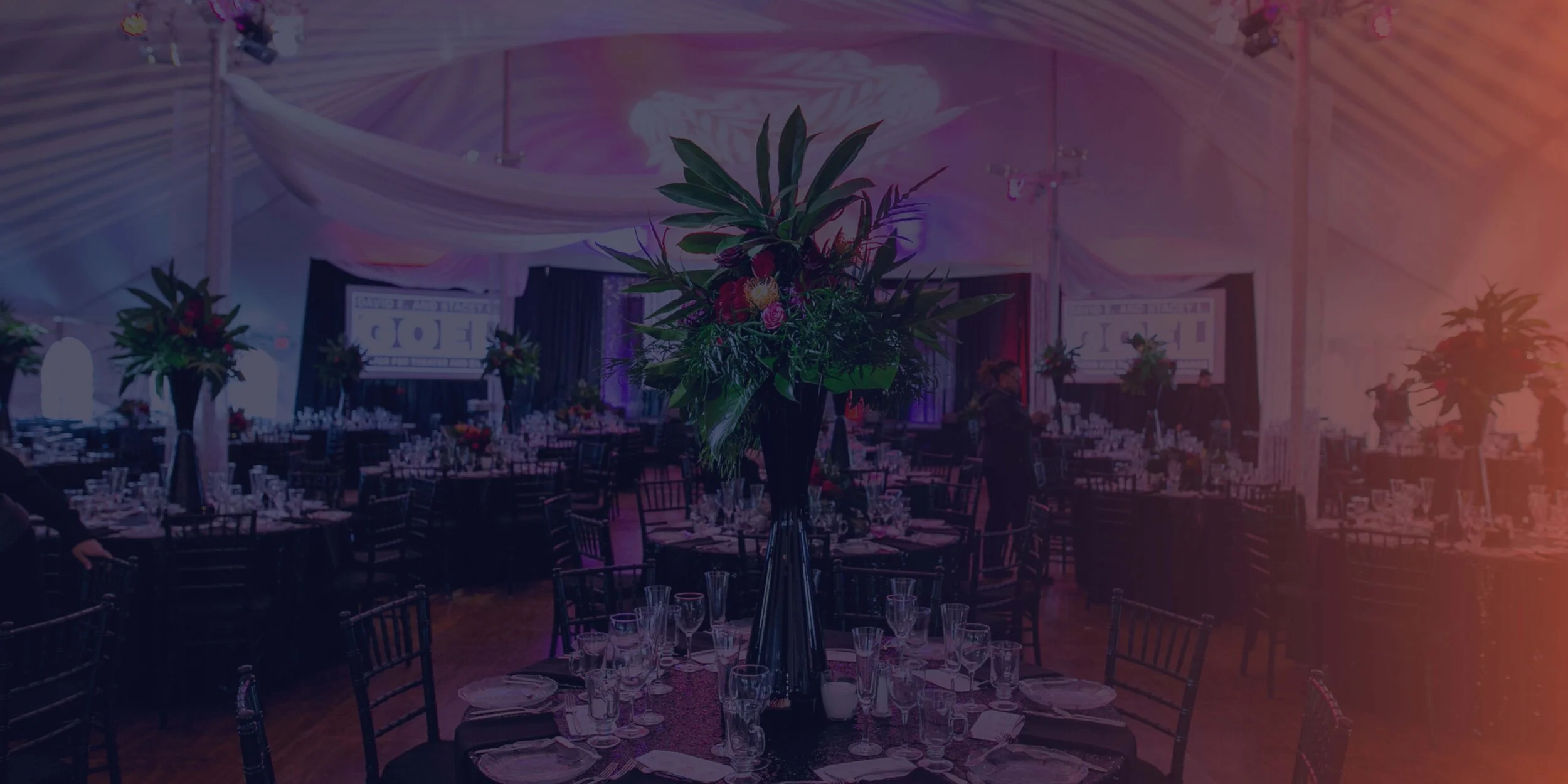 Website Home Page Banner (1).jpg