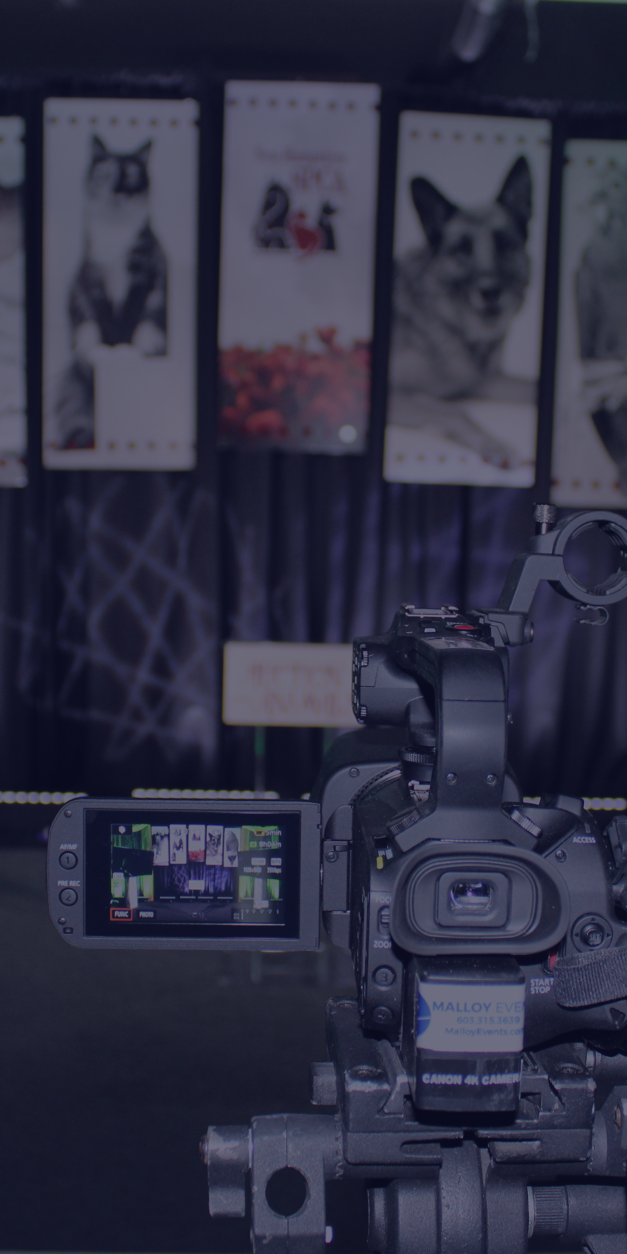 Offering an array of virtual and hybrid event services to help tell your story with a format that may be unfamiliar to you.