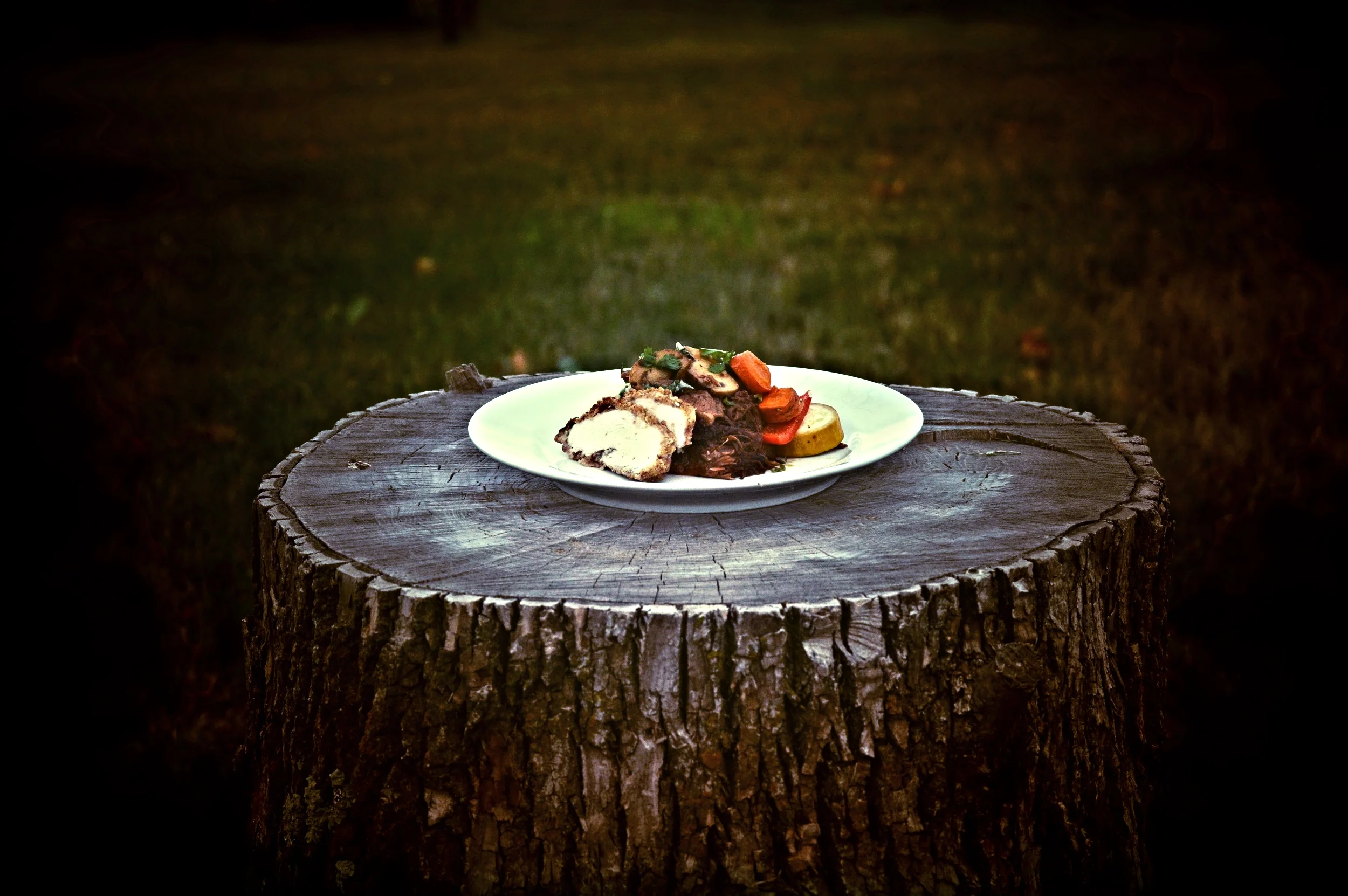FOOD on stump.JPG