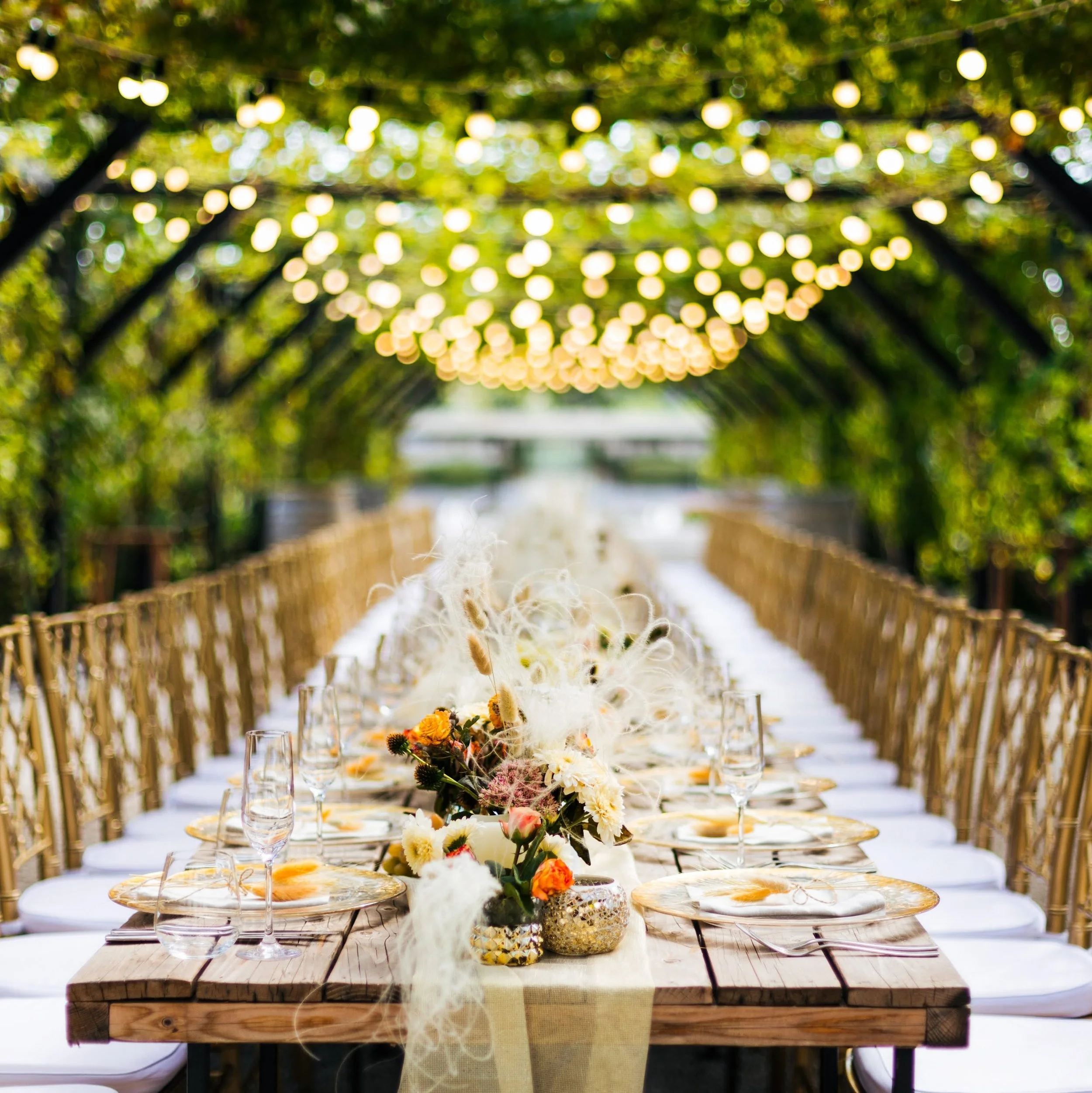 event pic - outdoor .jpg