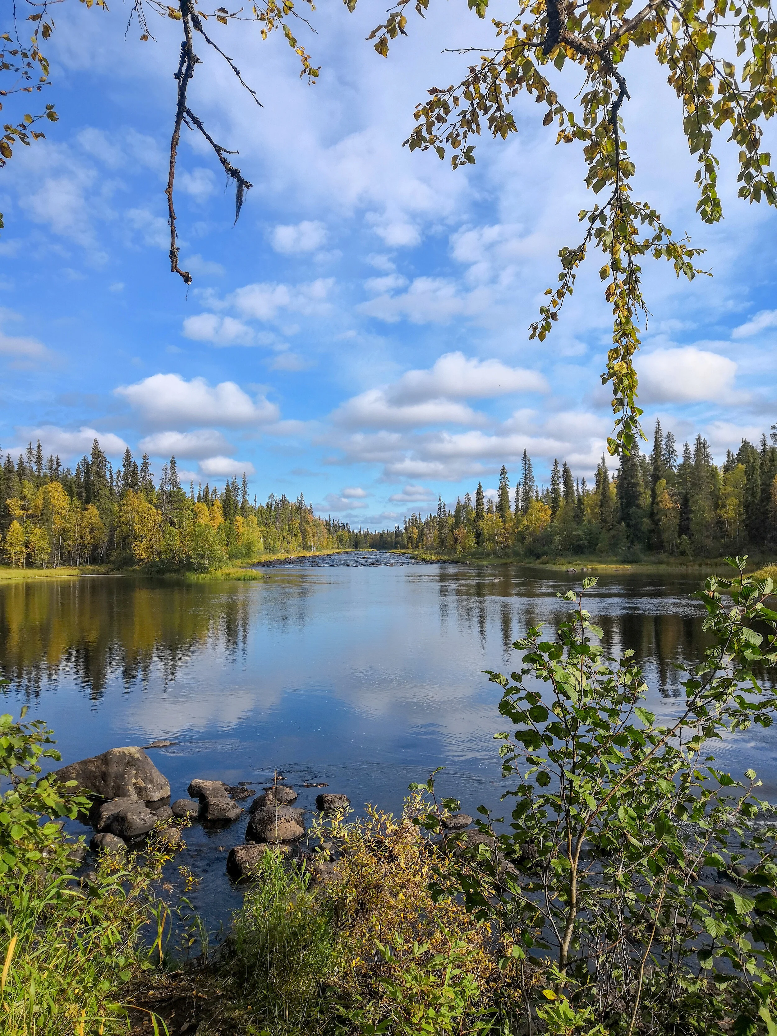 Näkymä Perttumakosken laavulta