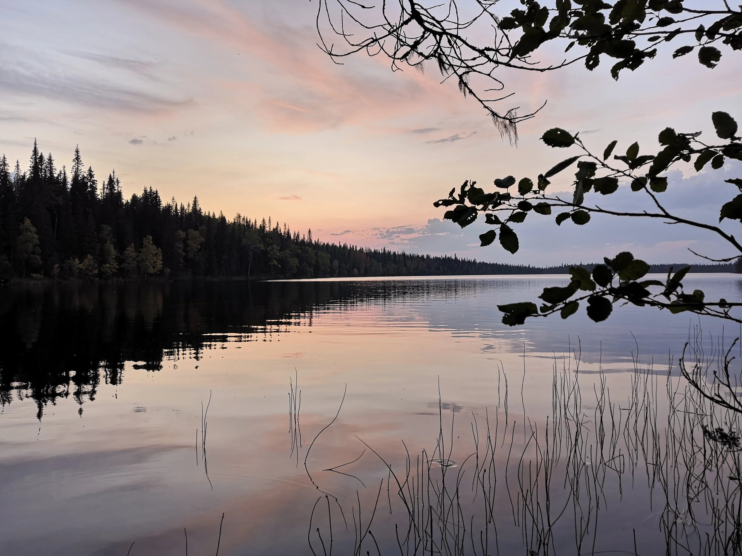 Jussinkämpän ranta