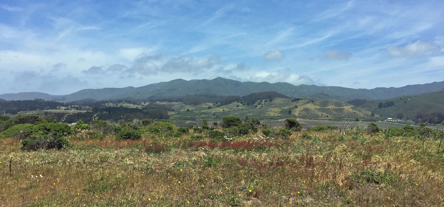 Pillar Point Bluff in foreground; Montara Mountain in the distance