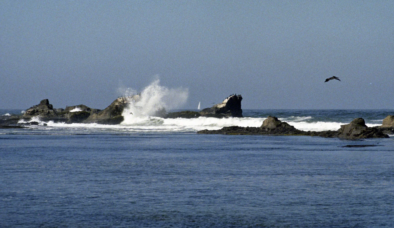Sail Rock off Pillar Point taken from Maverick's Beach