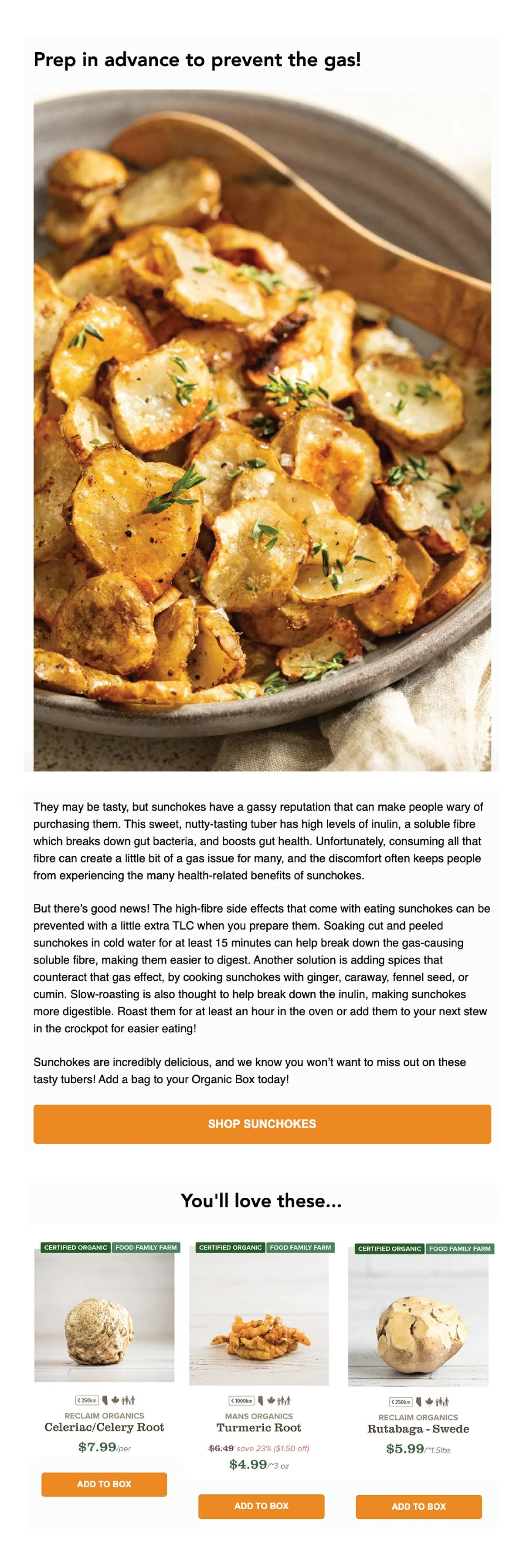 Newsletter Examples.jpg