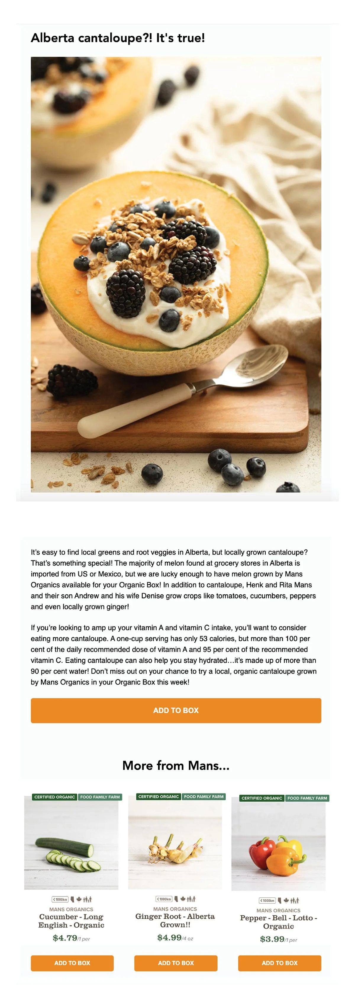 Newsletter Examples2.jpg