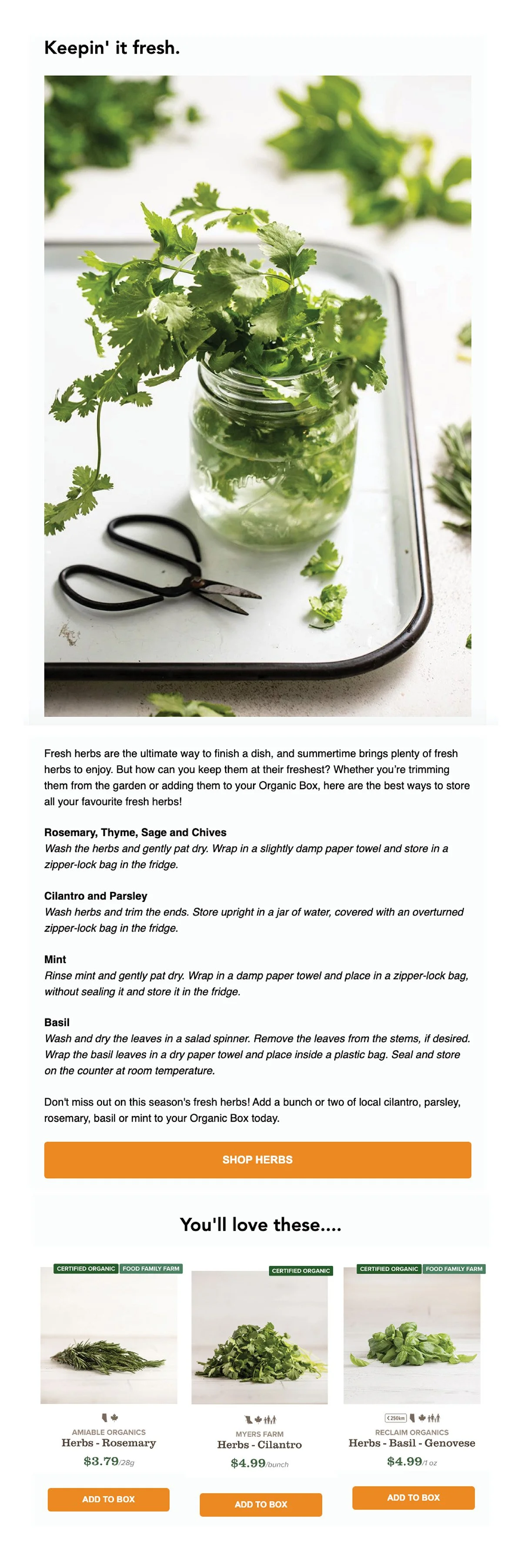 Newsletter Examples3.jpg