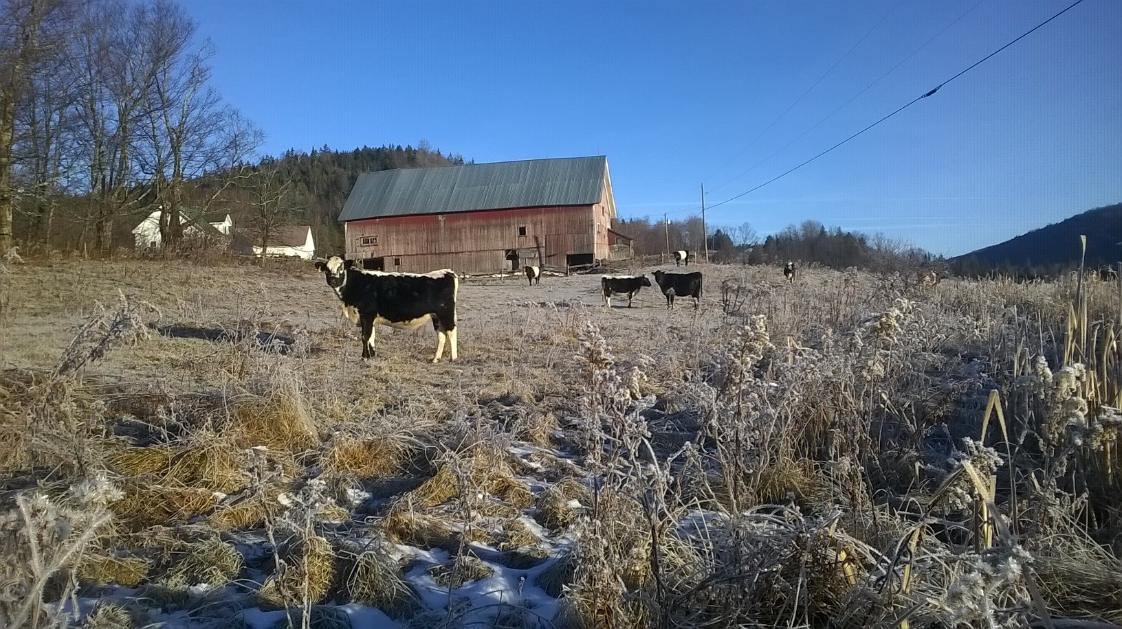 WP_20151206_009.jpg