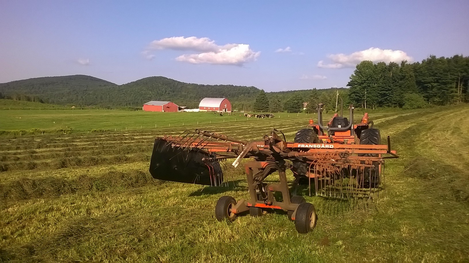 WP_20150816_013.jpg