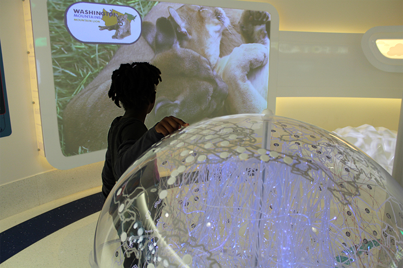 Wolfson Exploratorium