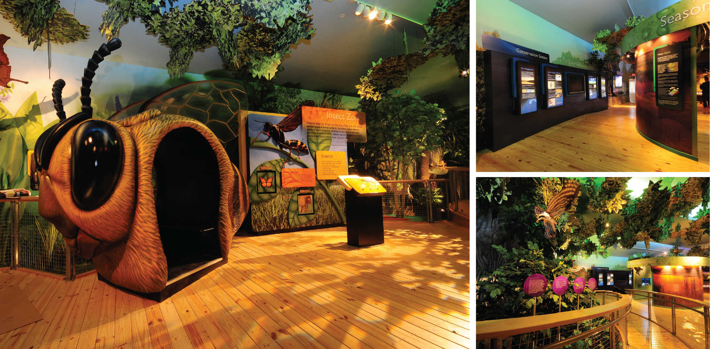 Daggerwing Nature Center