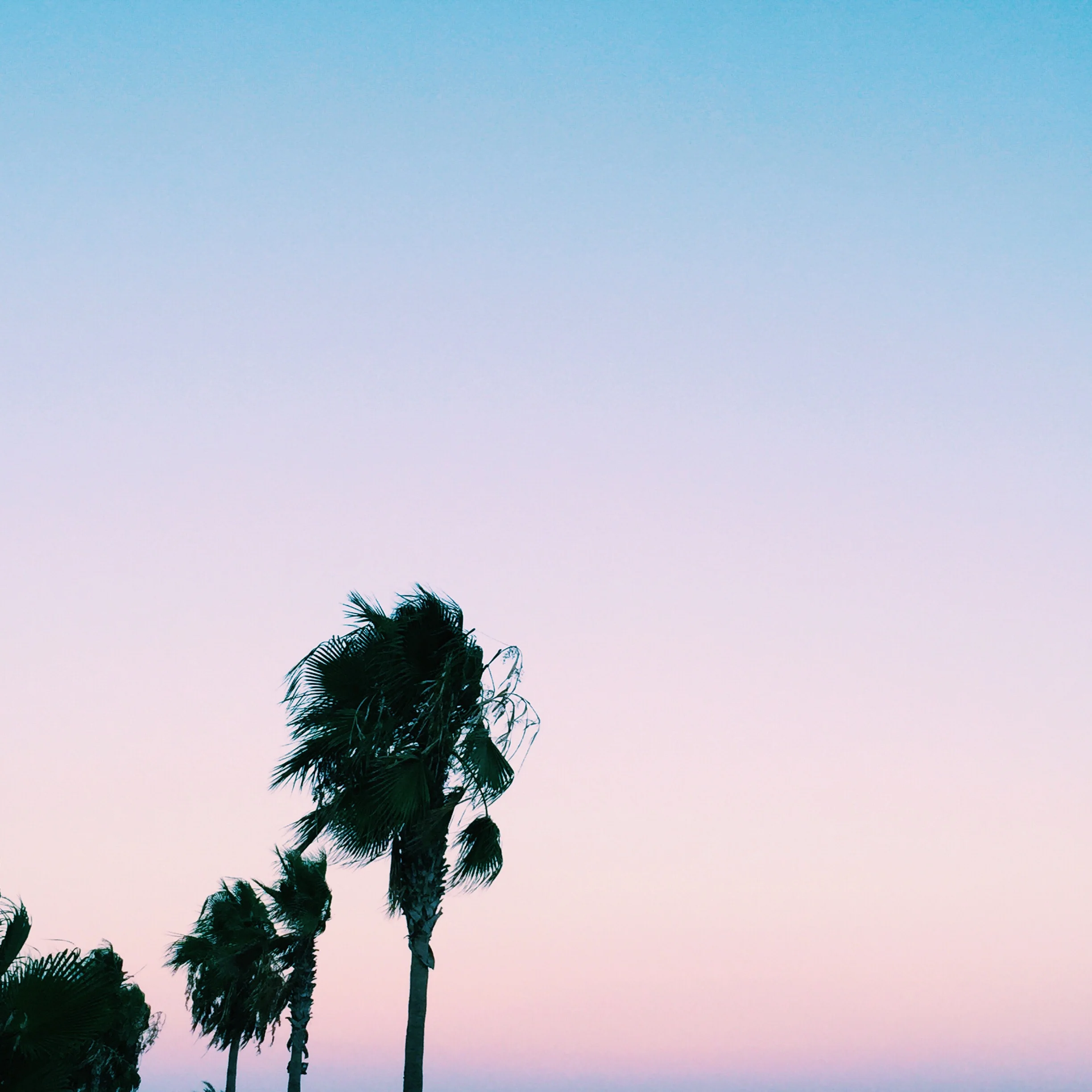 I fell in love with the pastel skies...