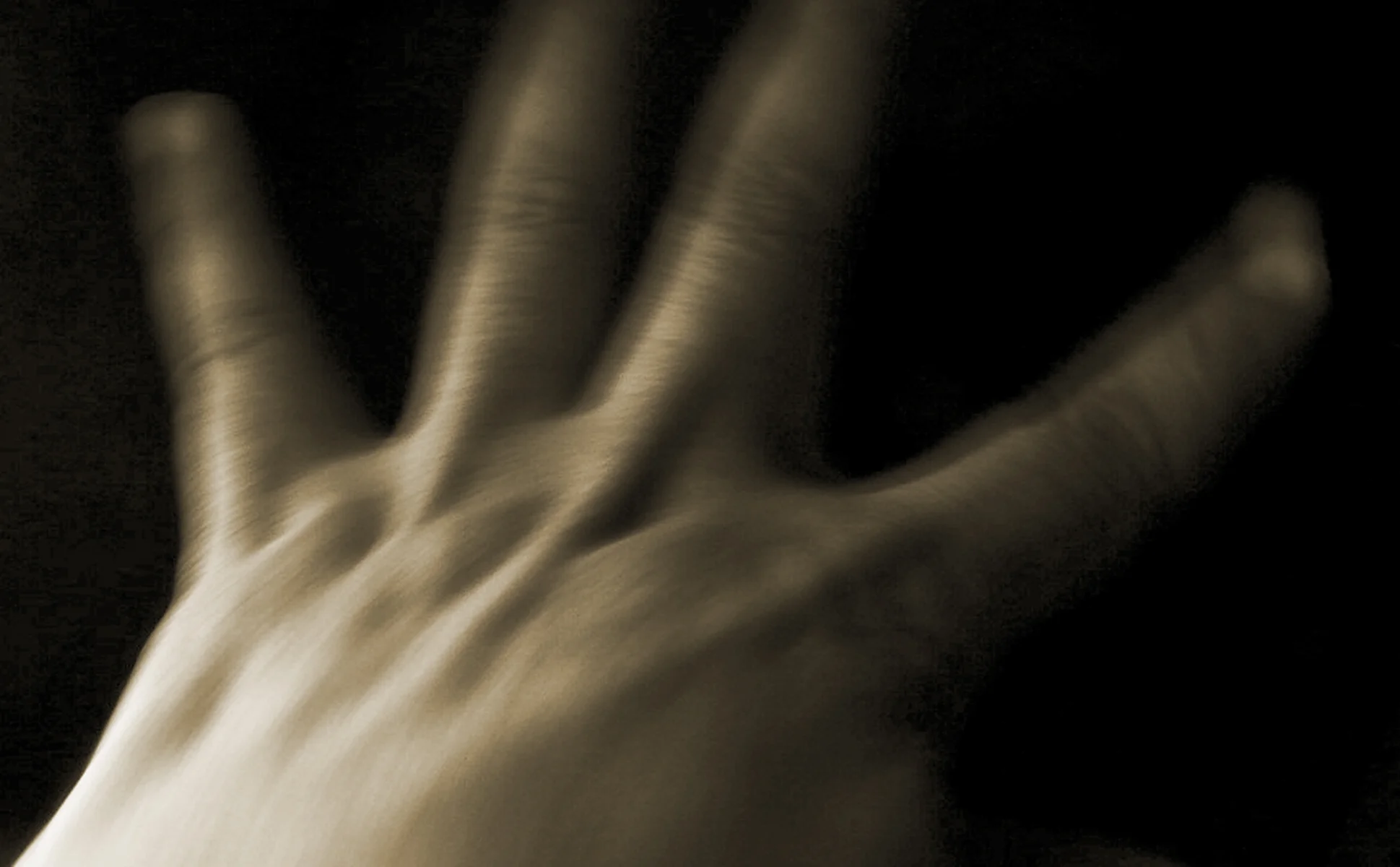 P1100582.jpg