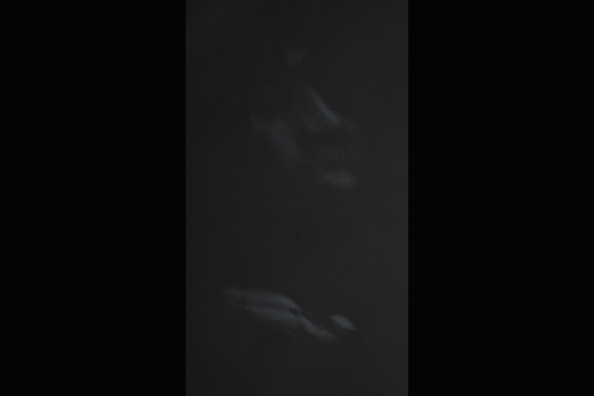 P1110842.jpg