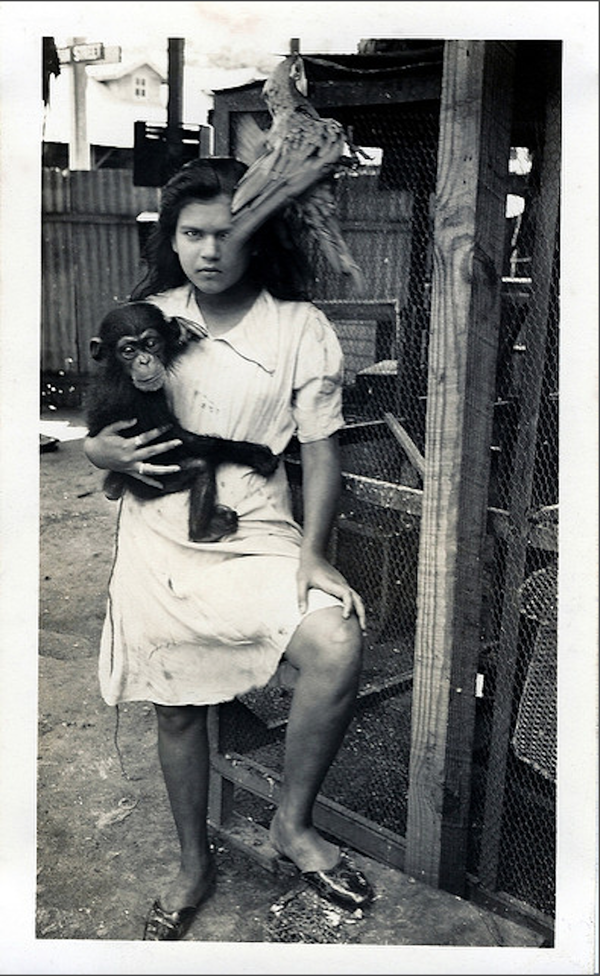 Screen Shot 2016-03-03 at 7.19.04 AM.png