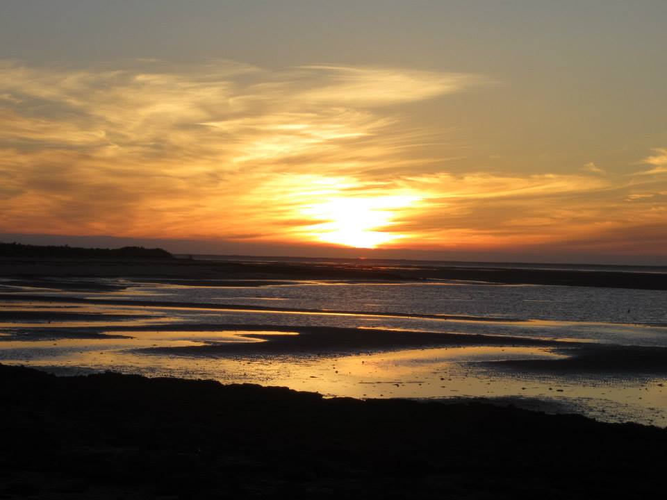 San Ignacio Lagoon