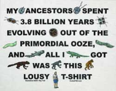 this is what bruce's t-shirt says