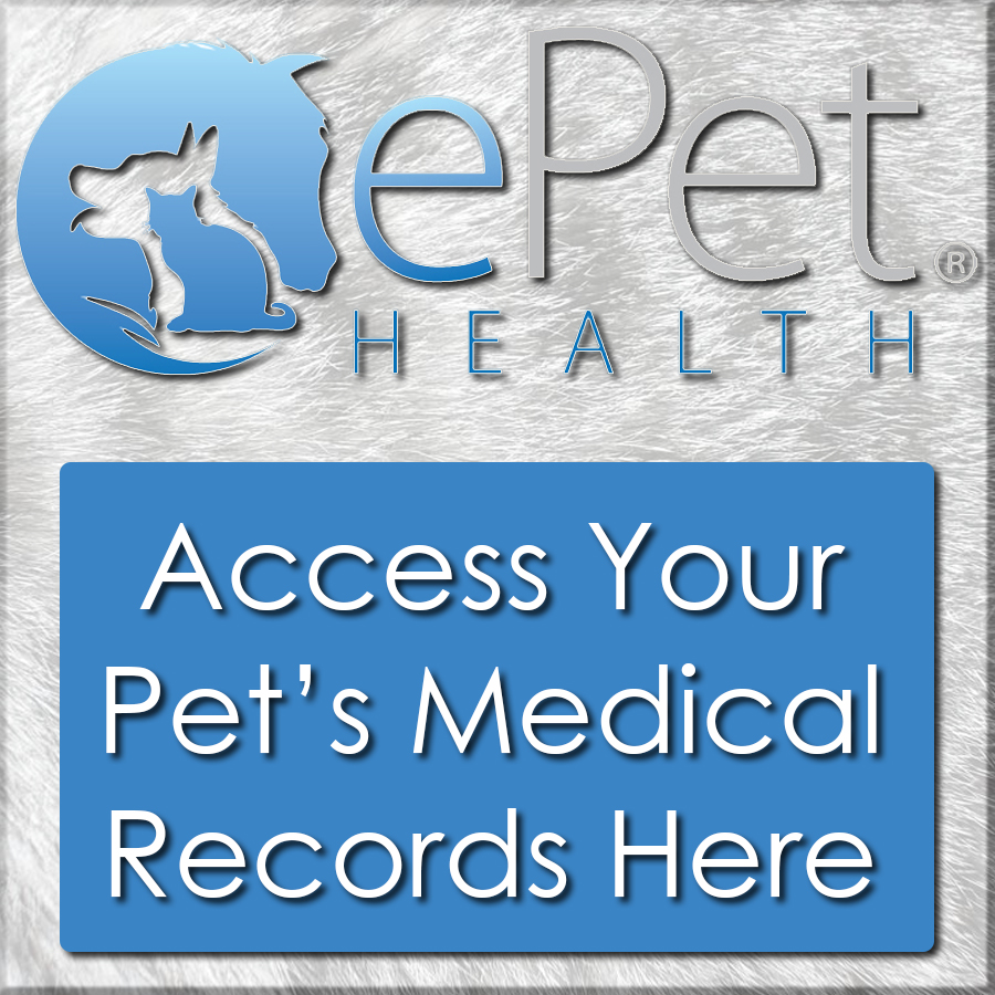 West End Animal Hospital – Gainesville Jonesville Newberry Trenton Alachua Veterinary  Clinic