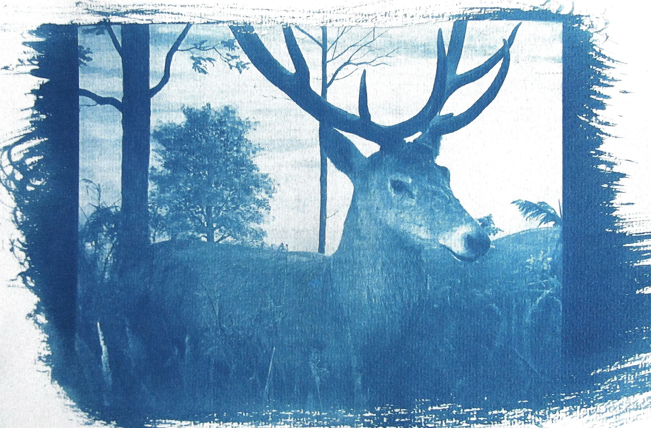 NEU_IMG_1293 (1).jpeg