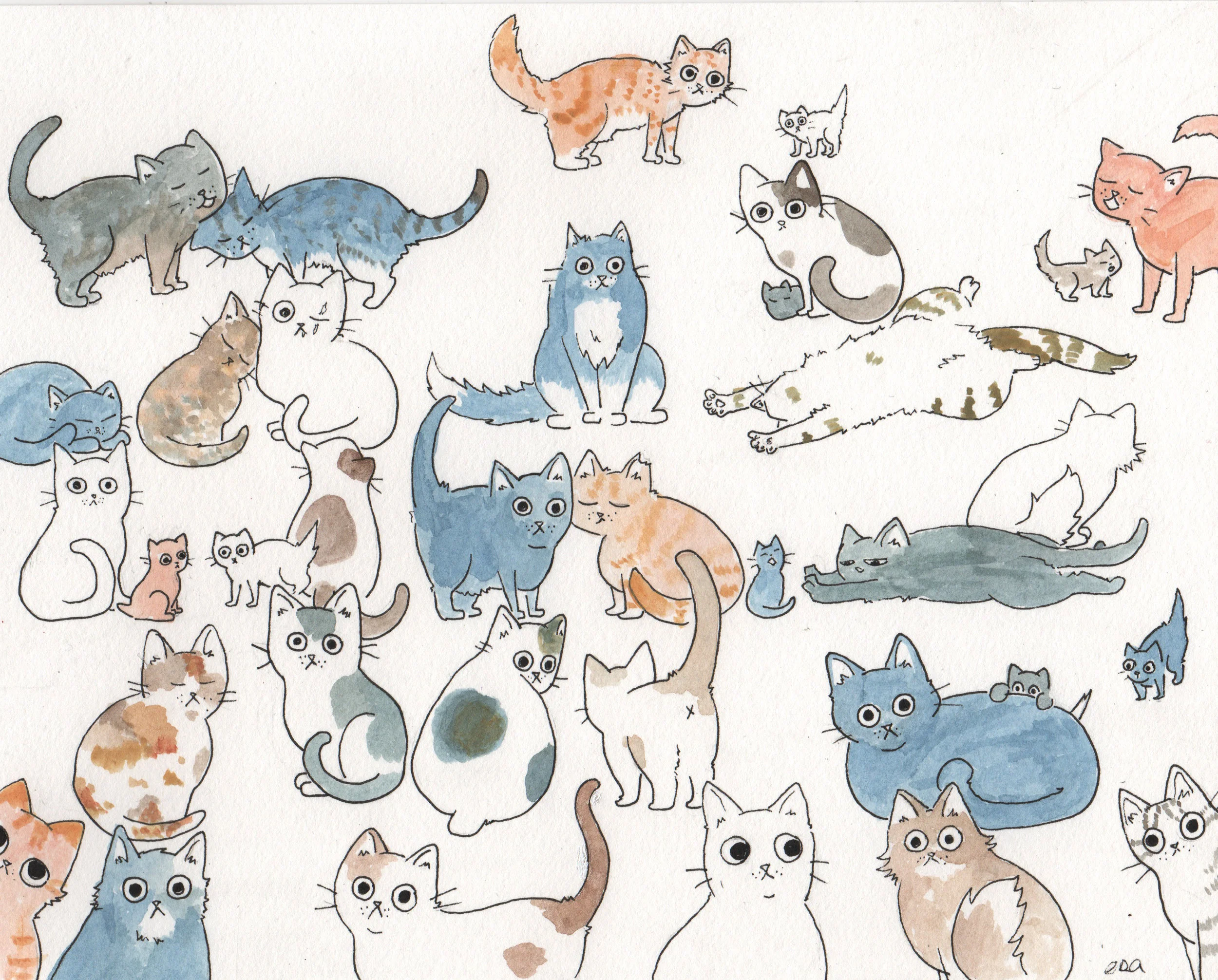 A Bunch of Cats.jpeg