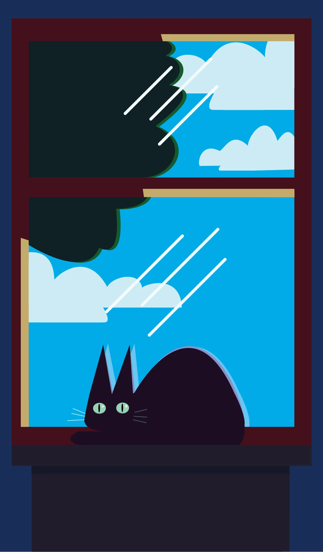 cat on window.jpg