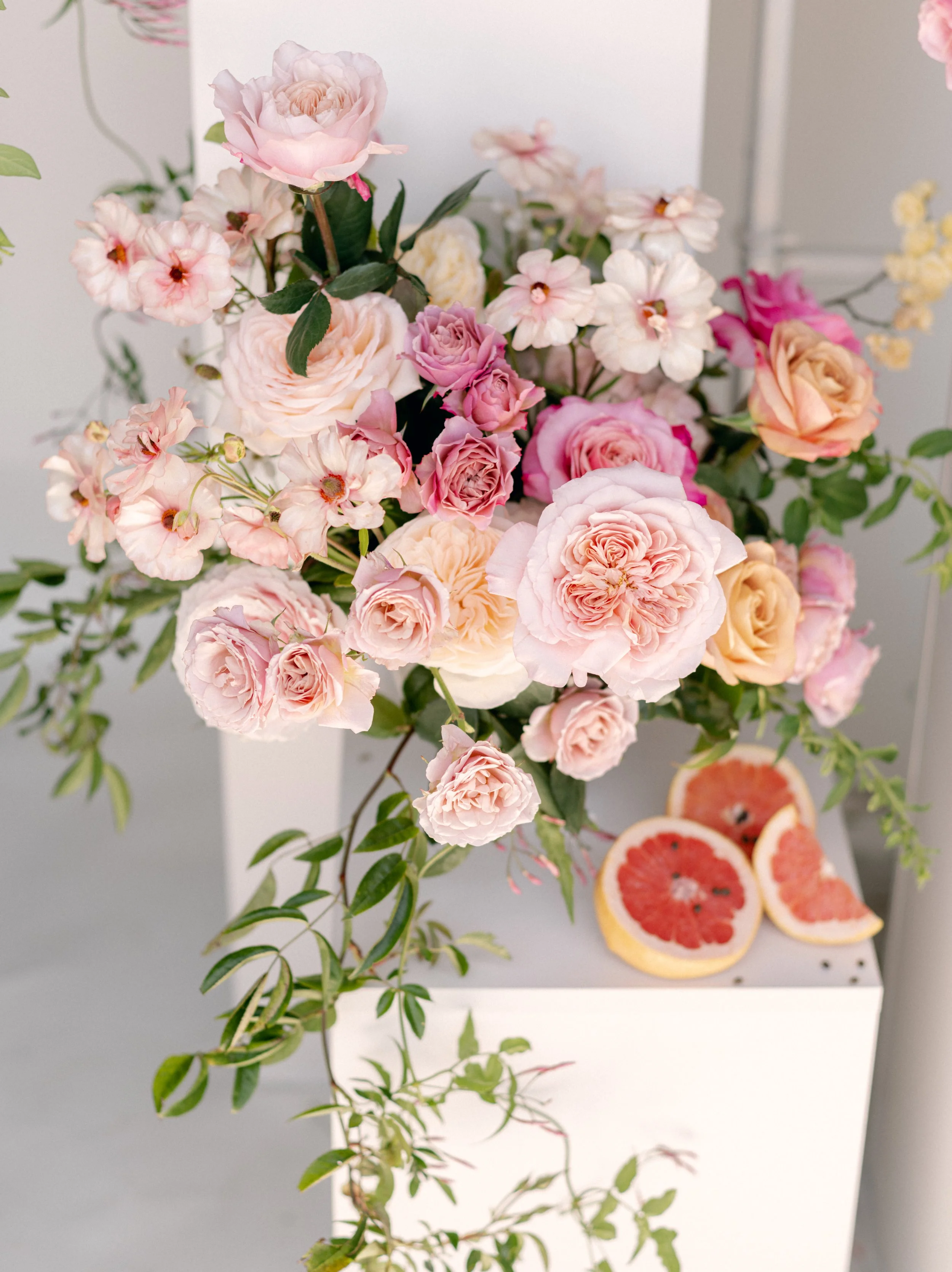 tutorial- alexandra farms- katie noonan_0014.JPG