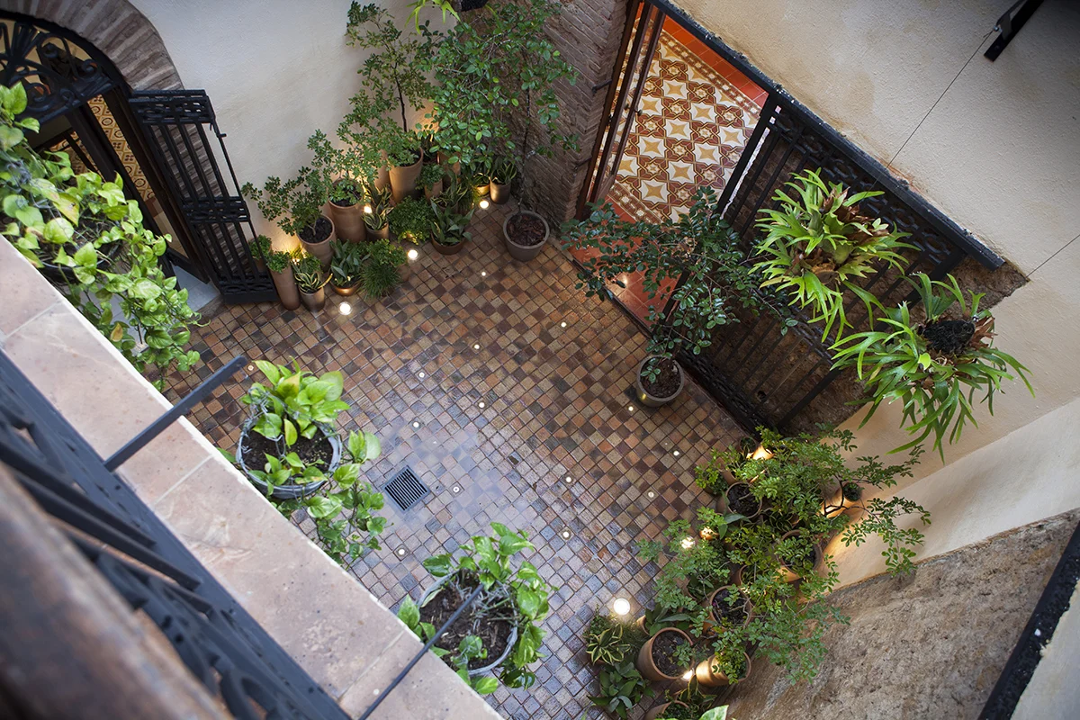 Patio 1