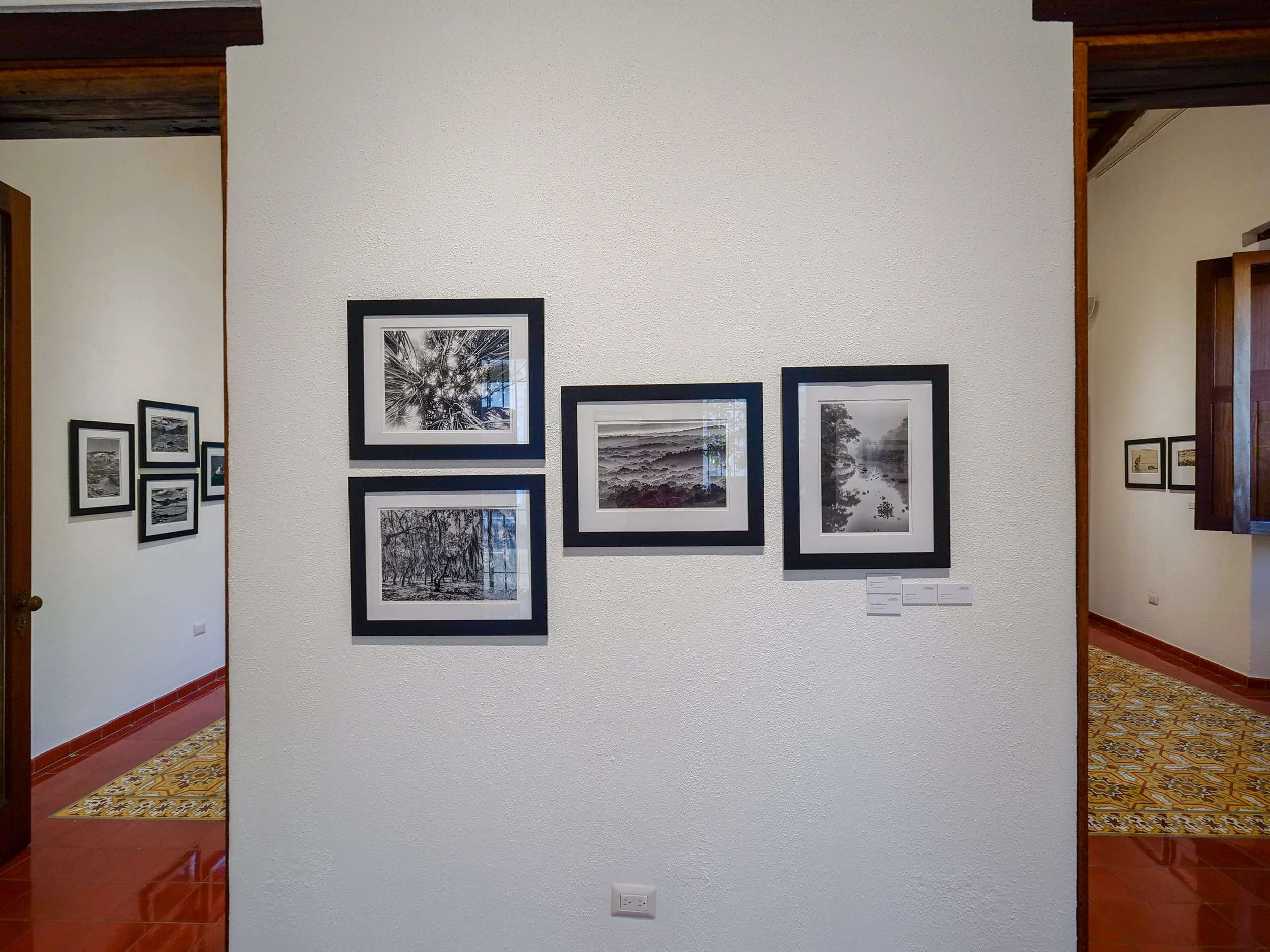 P1012676.jpg