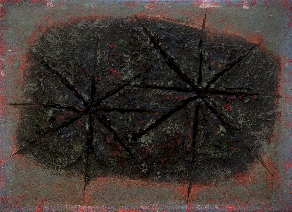 Star Fish