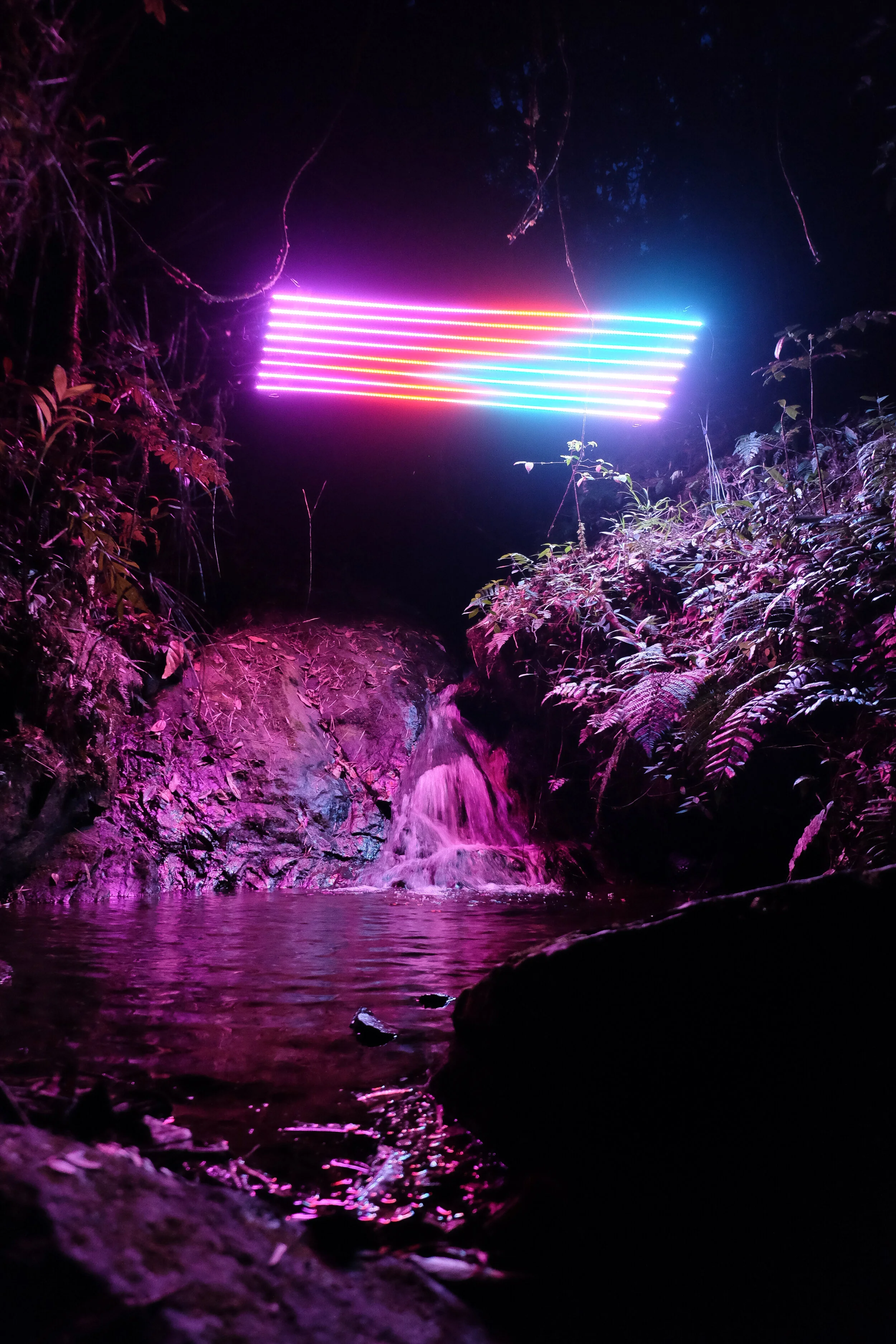 DSCF8451.JPG