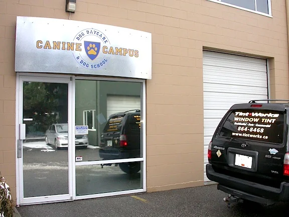 Canine Campus1.JPG