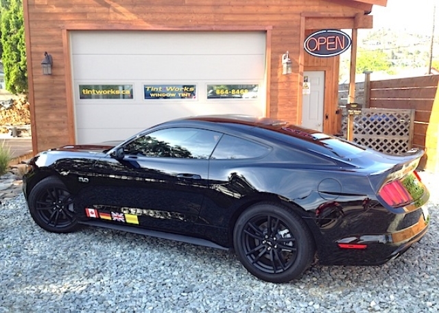 2015 Mustang.JPG