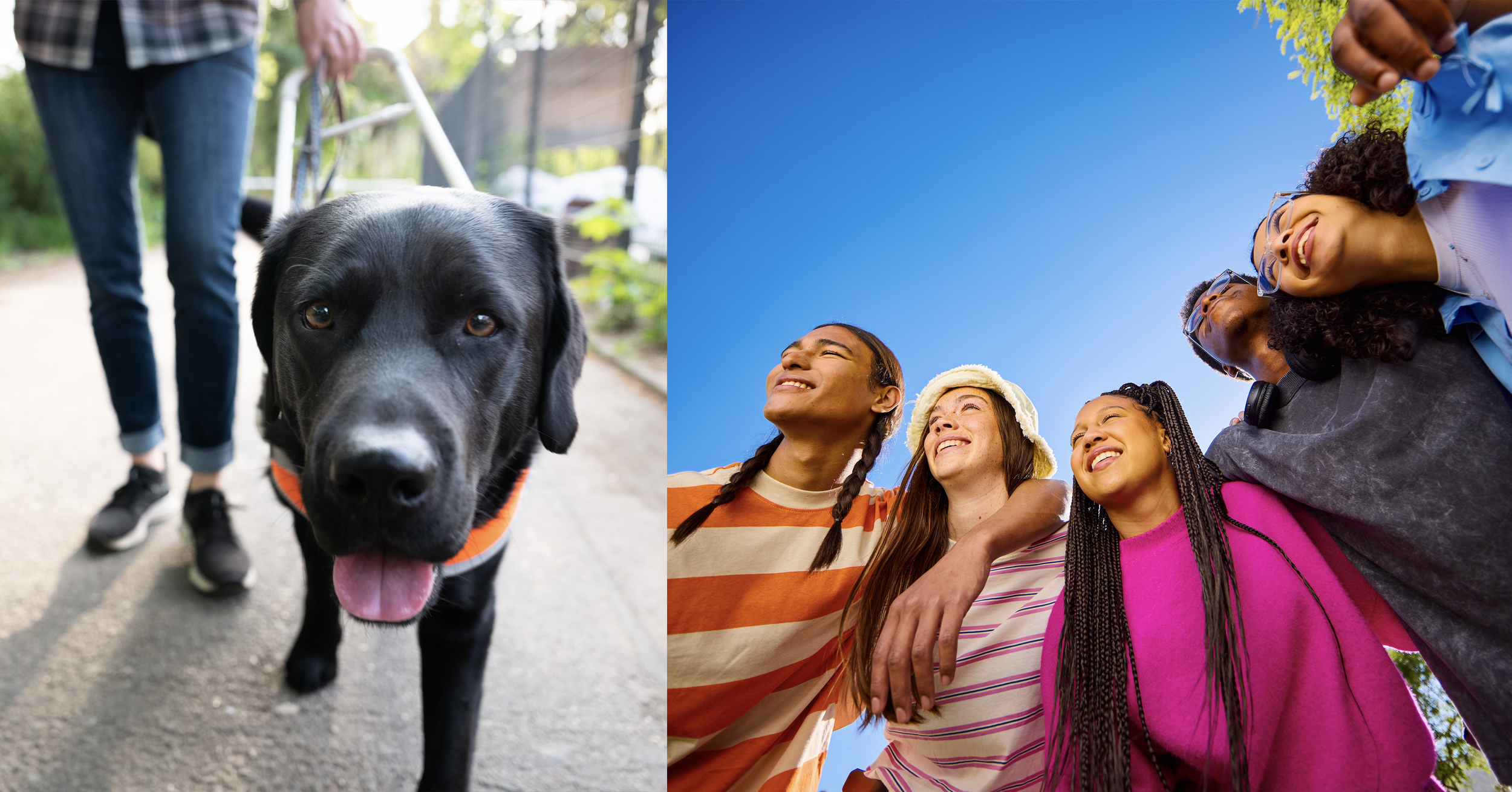 gec new website banner compassion in action.png