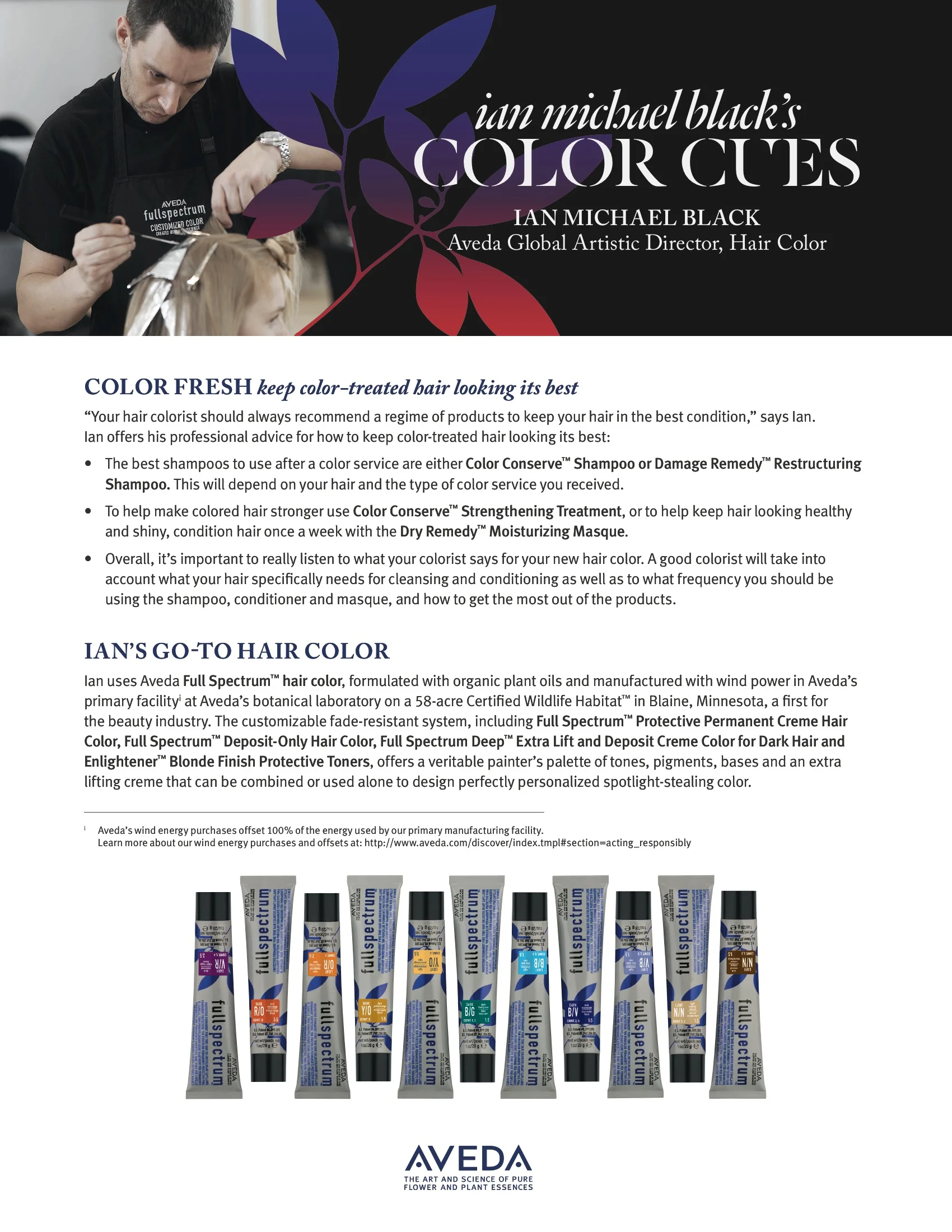 AV_IMB_ColorCues_FINAL 3.jpeg