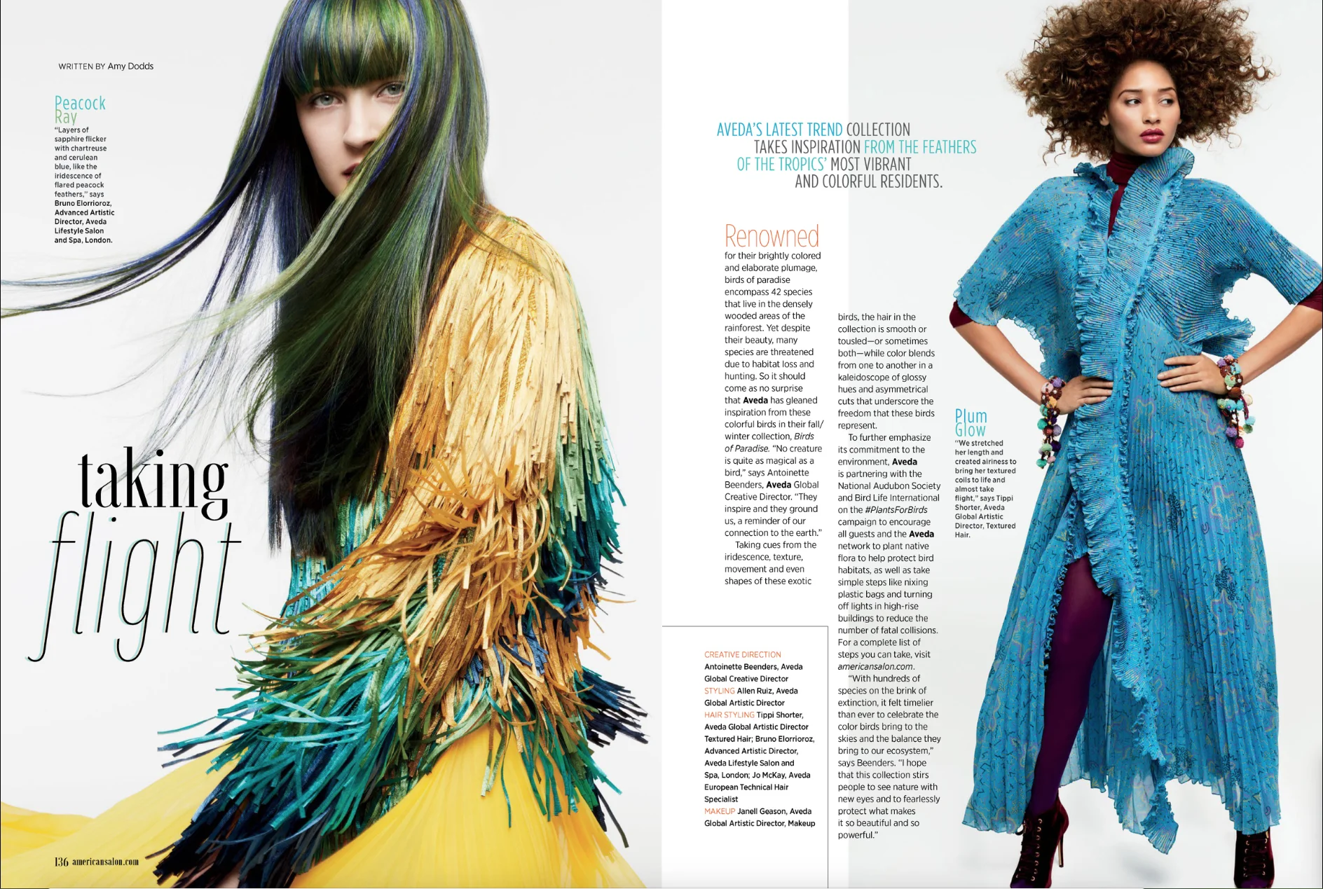 Birds of Paradise 1[1].jpg