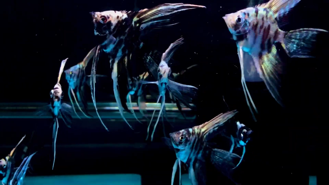 Screenshot (993).png