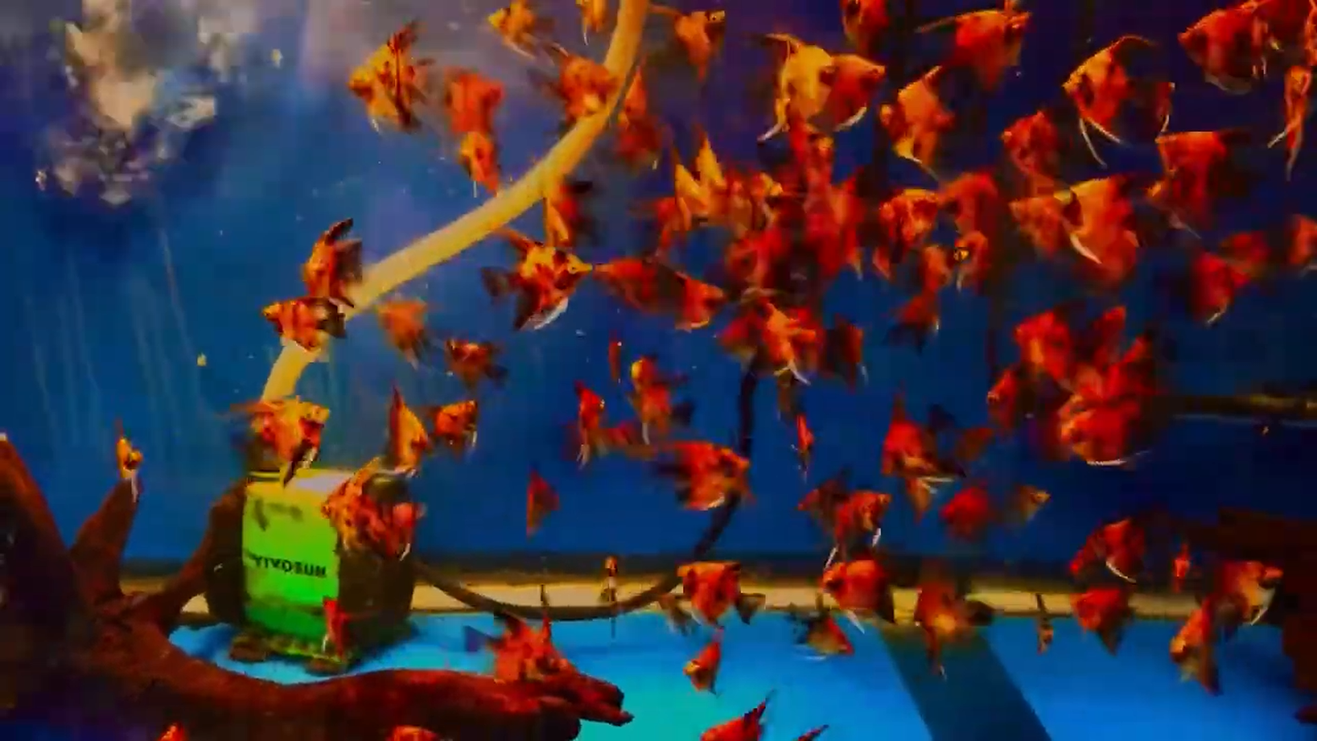 Screenshot (8).png