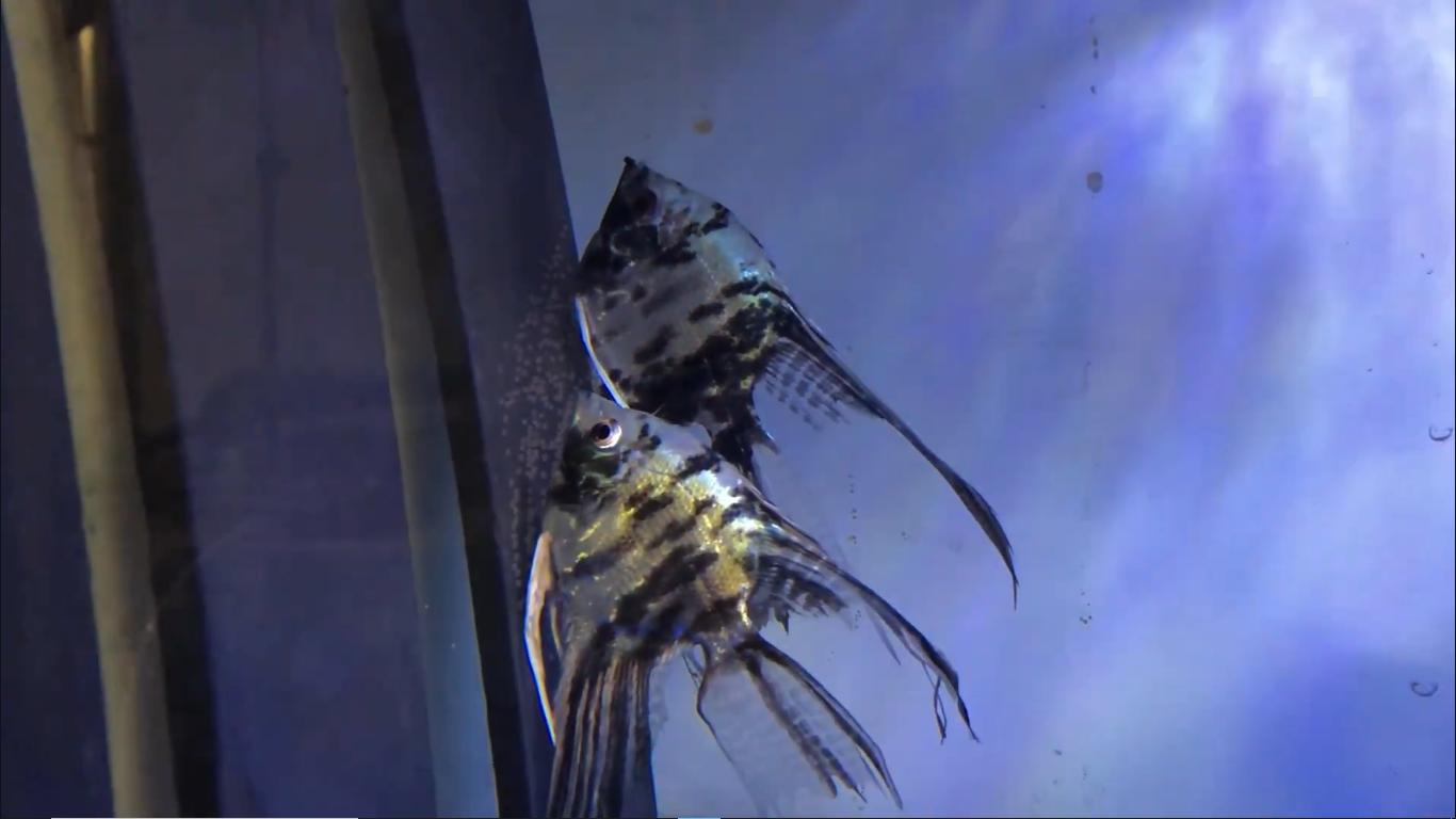 Screenshot 2025-11-23 195138.png