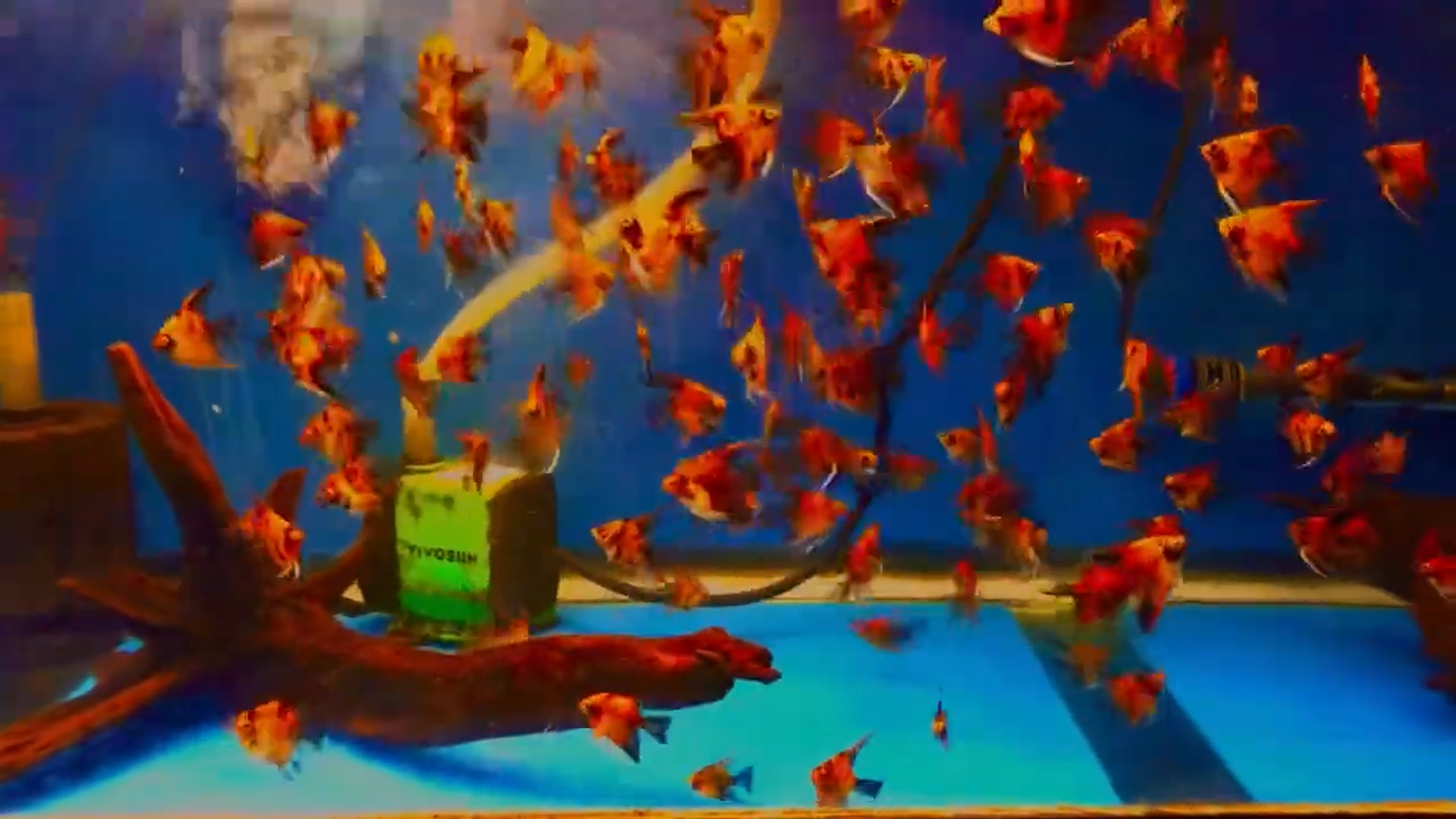 Screenshot (2).png
