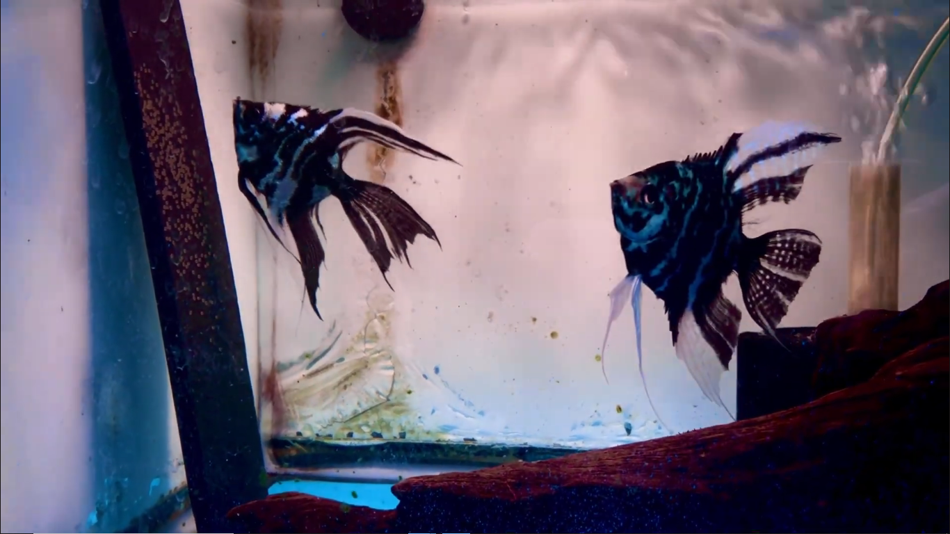 Screenshot 2026-04-12 163016.png