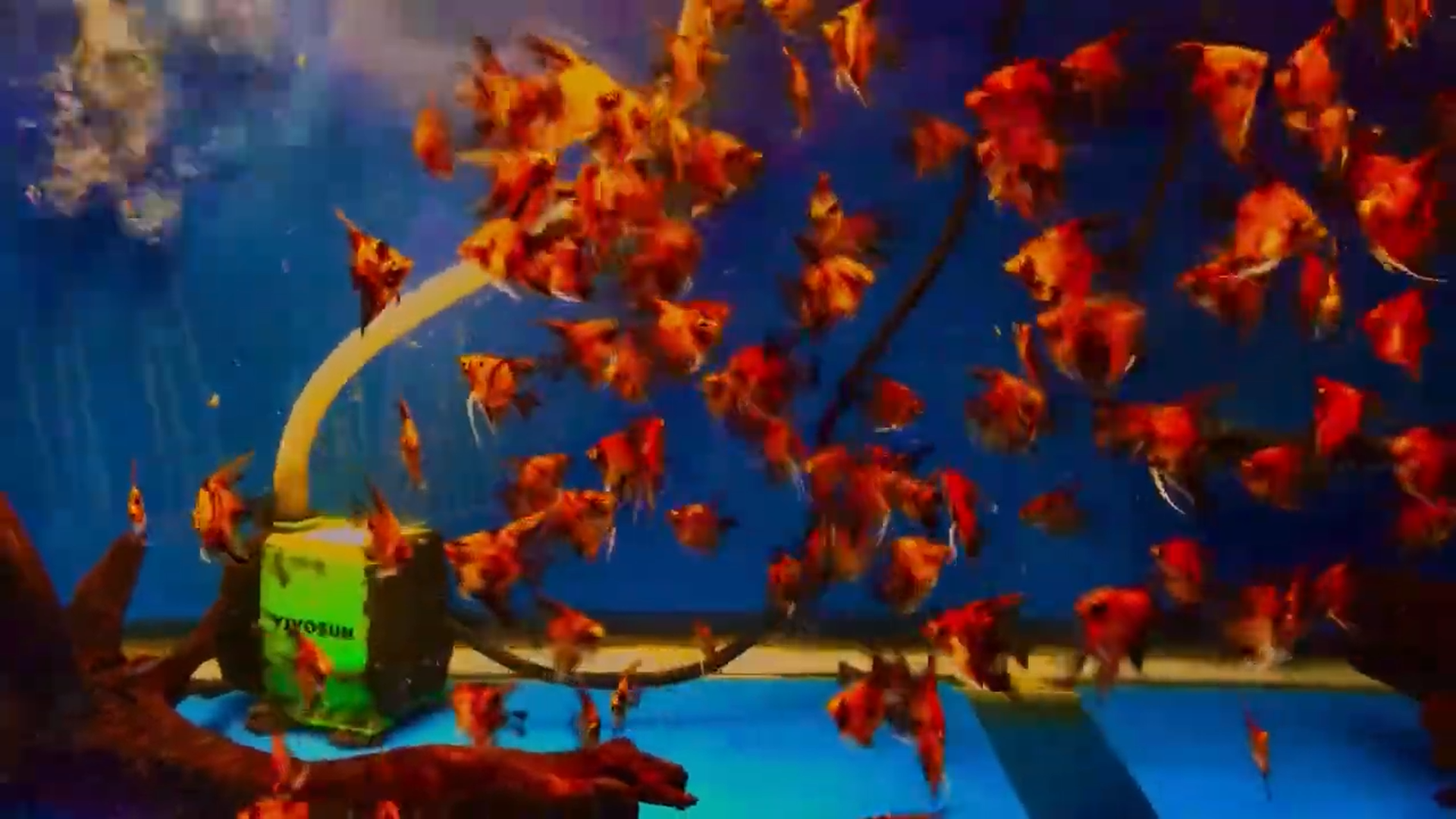 Screenshot (7).png