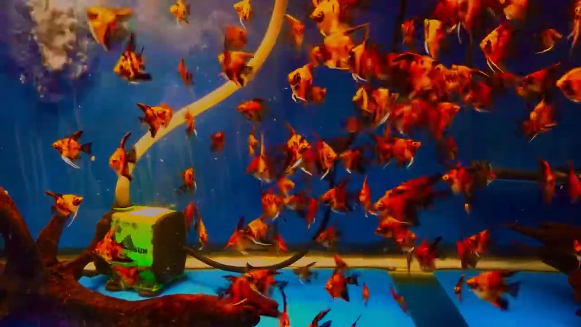 Screenshot (9).png