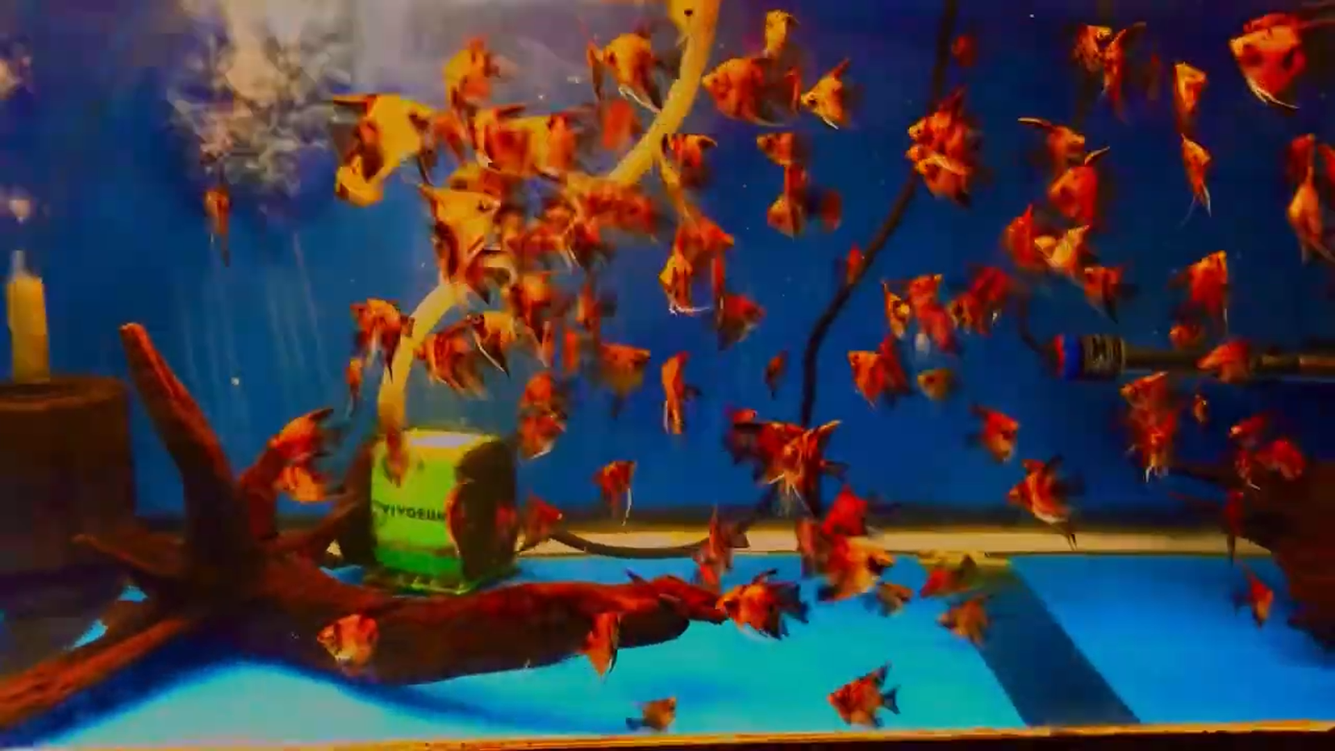 Screenshot (1).png